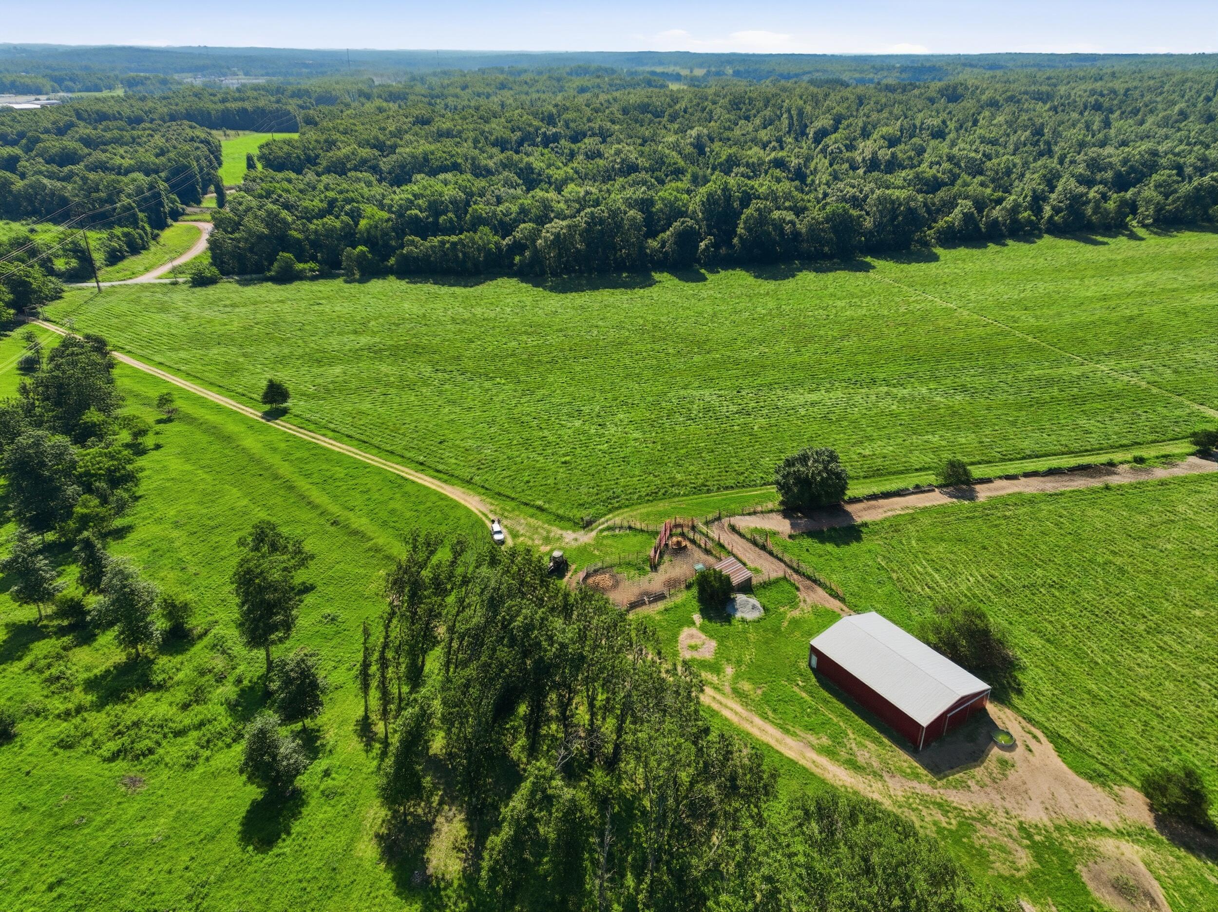 main property photo 12