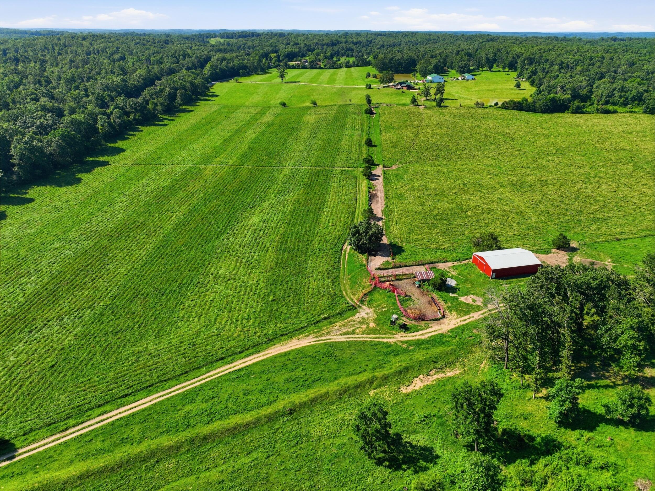main property photo 4