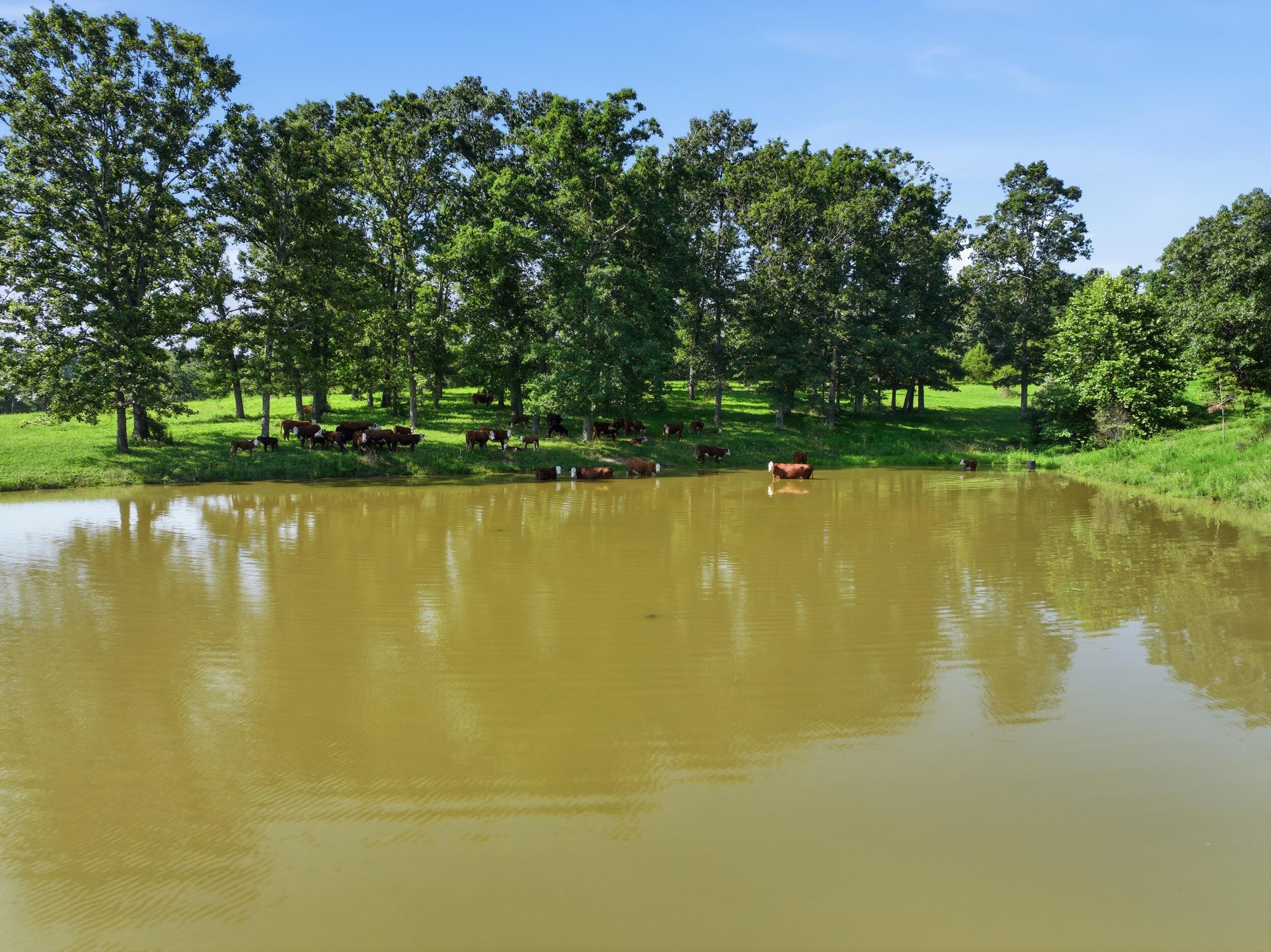 main property photo 80