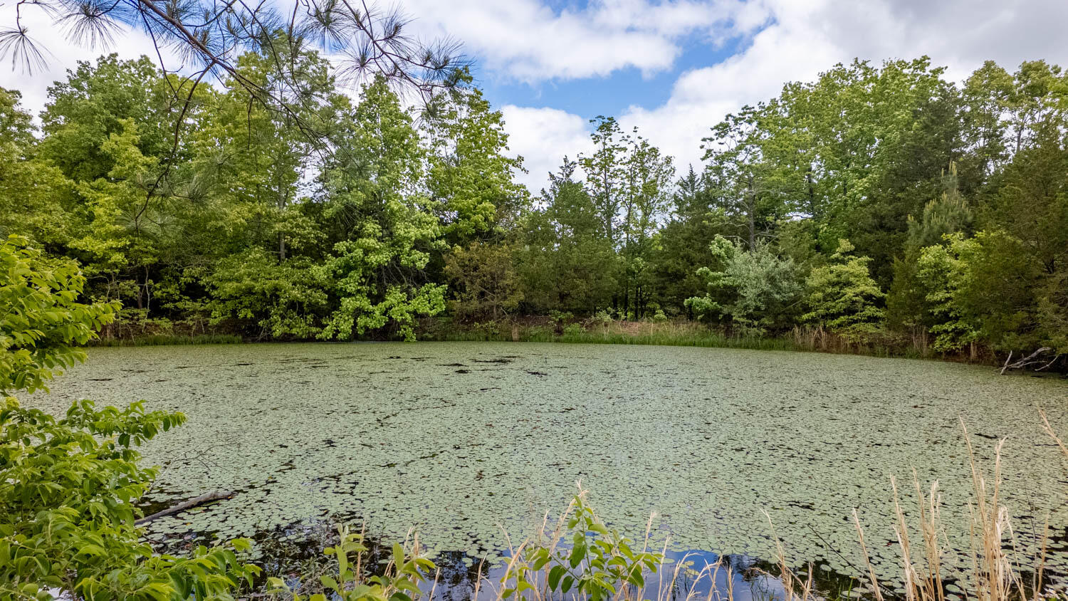 main property photo 10