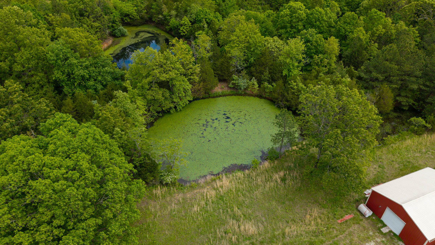 main property photo 24