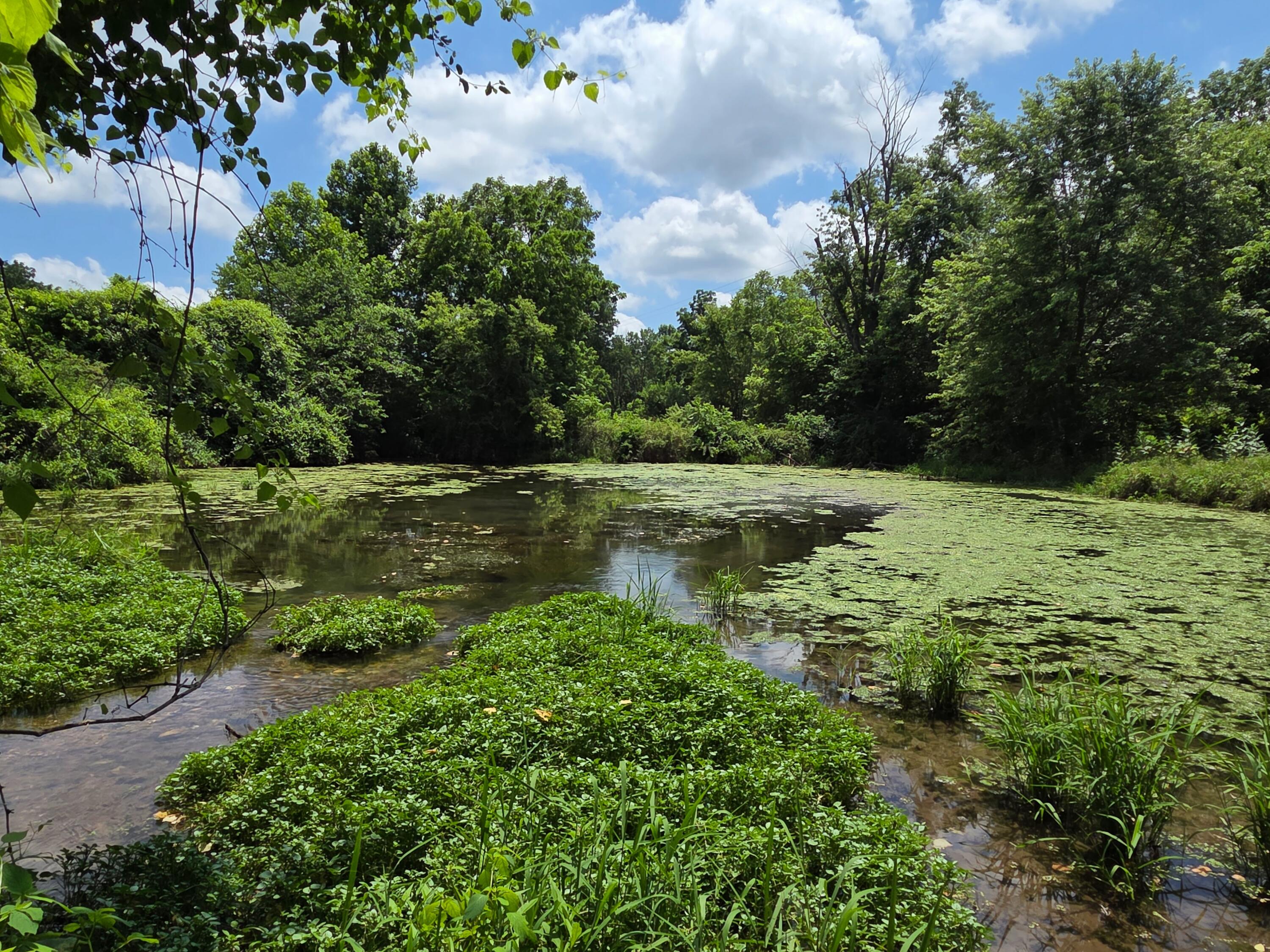 main property photo 13