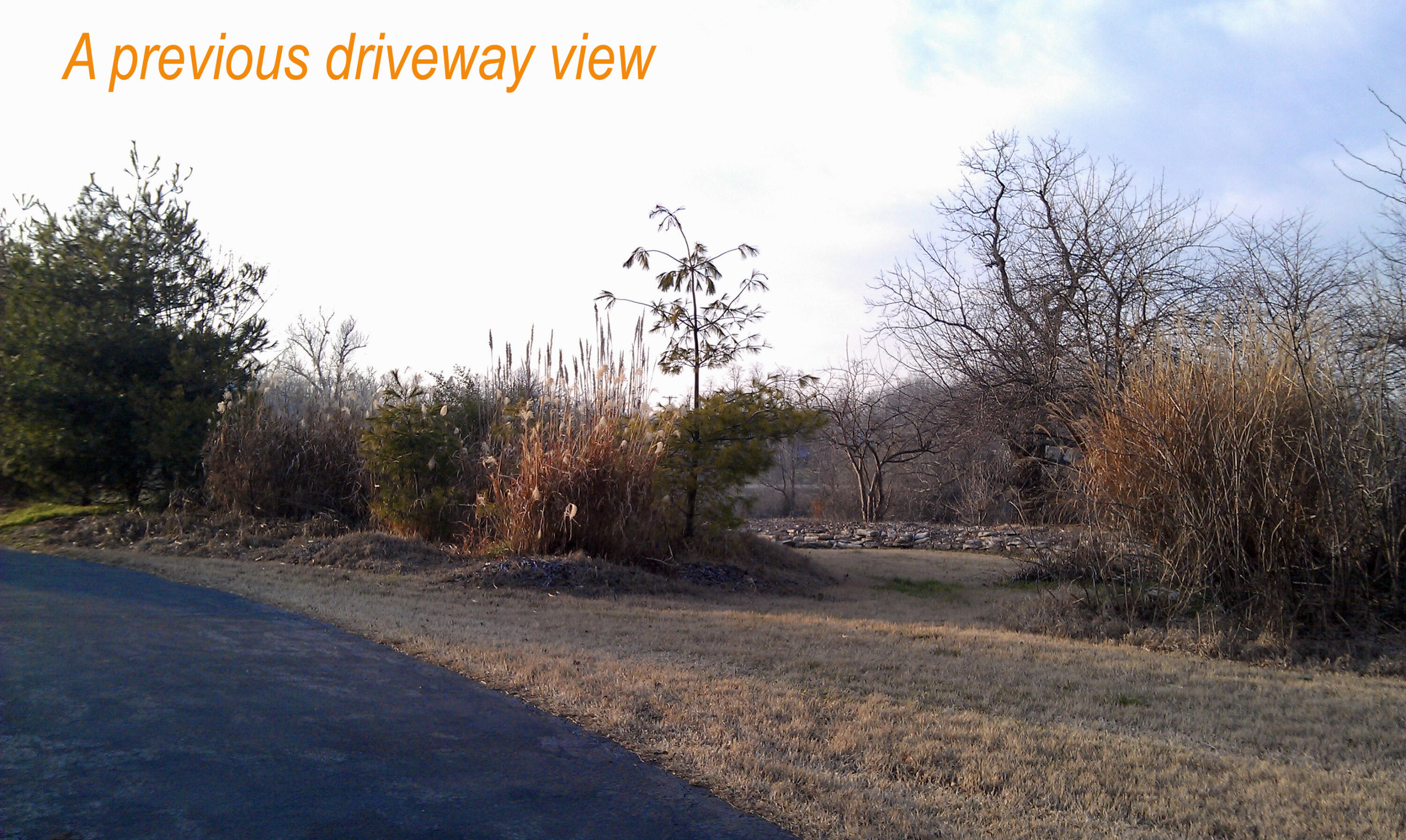 main property photo 202