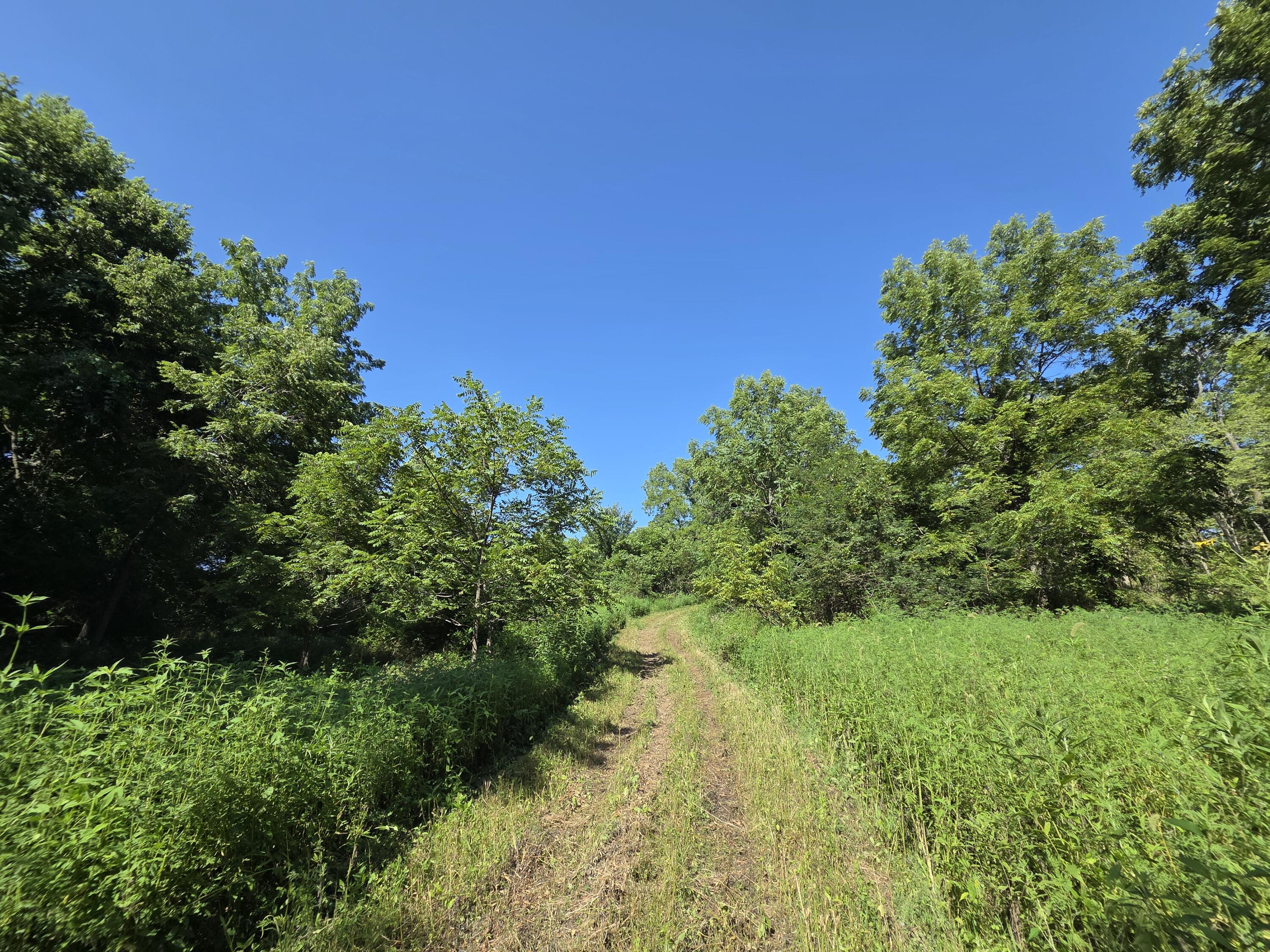 main property photo 41