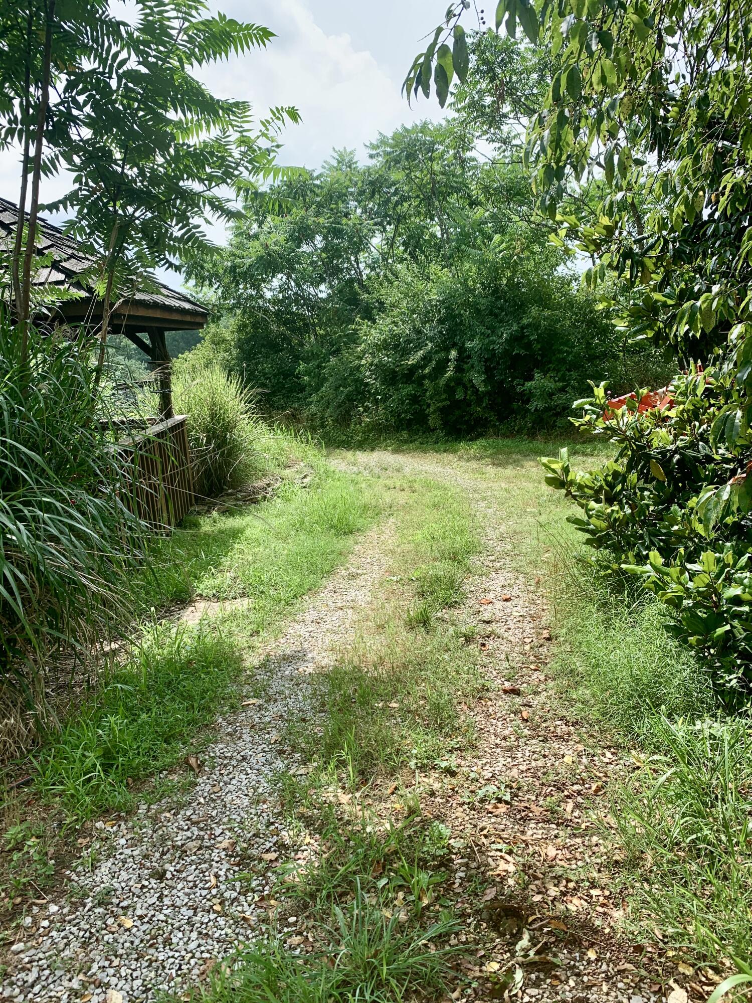 main property photo 221