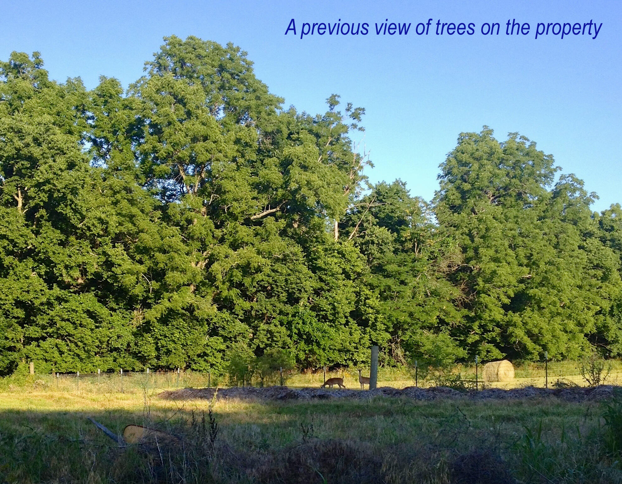 main property photo 223