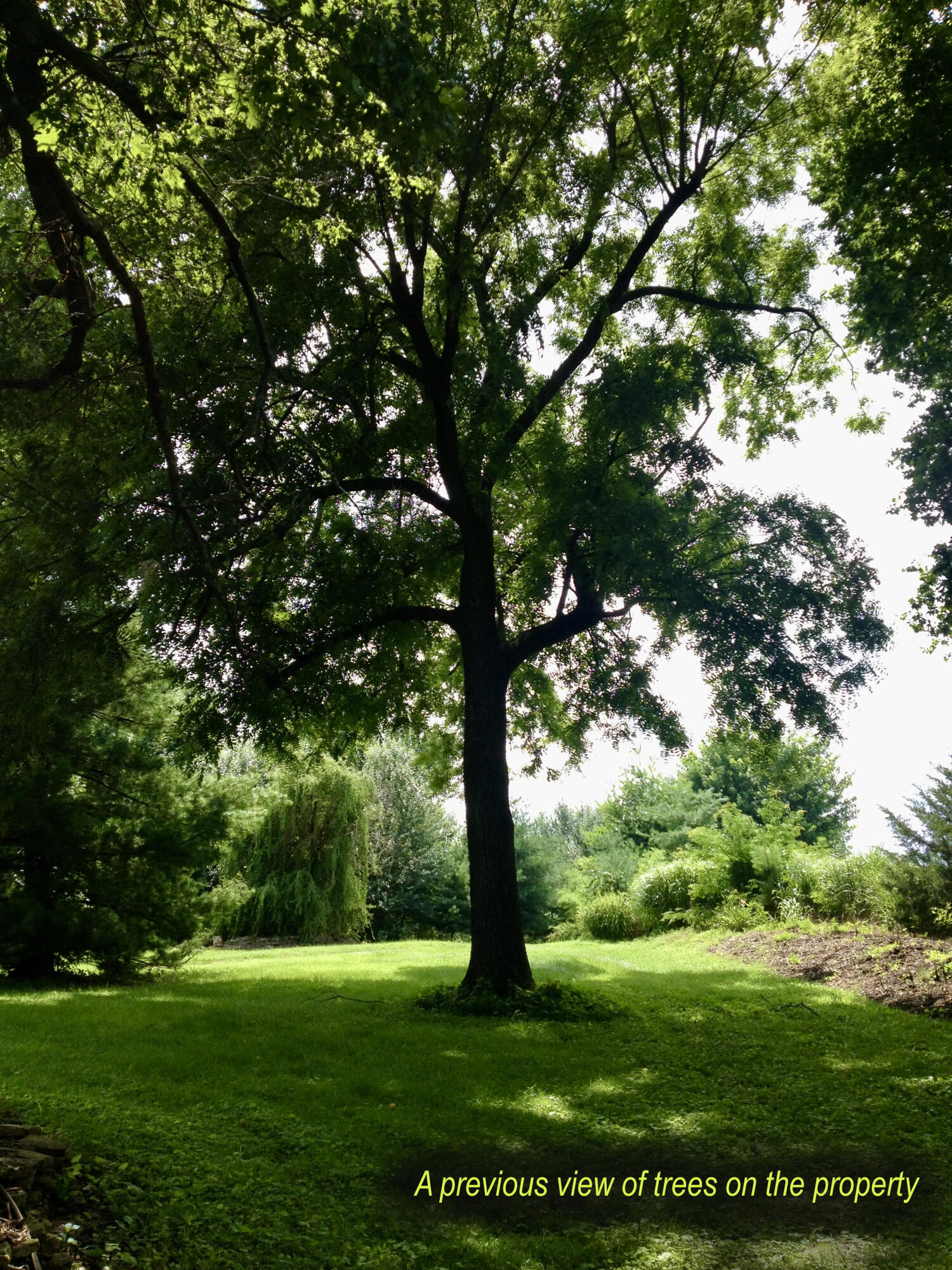main property photo 226