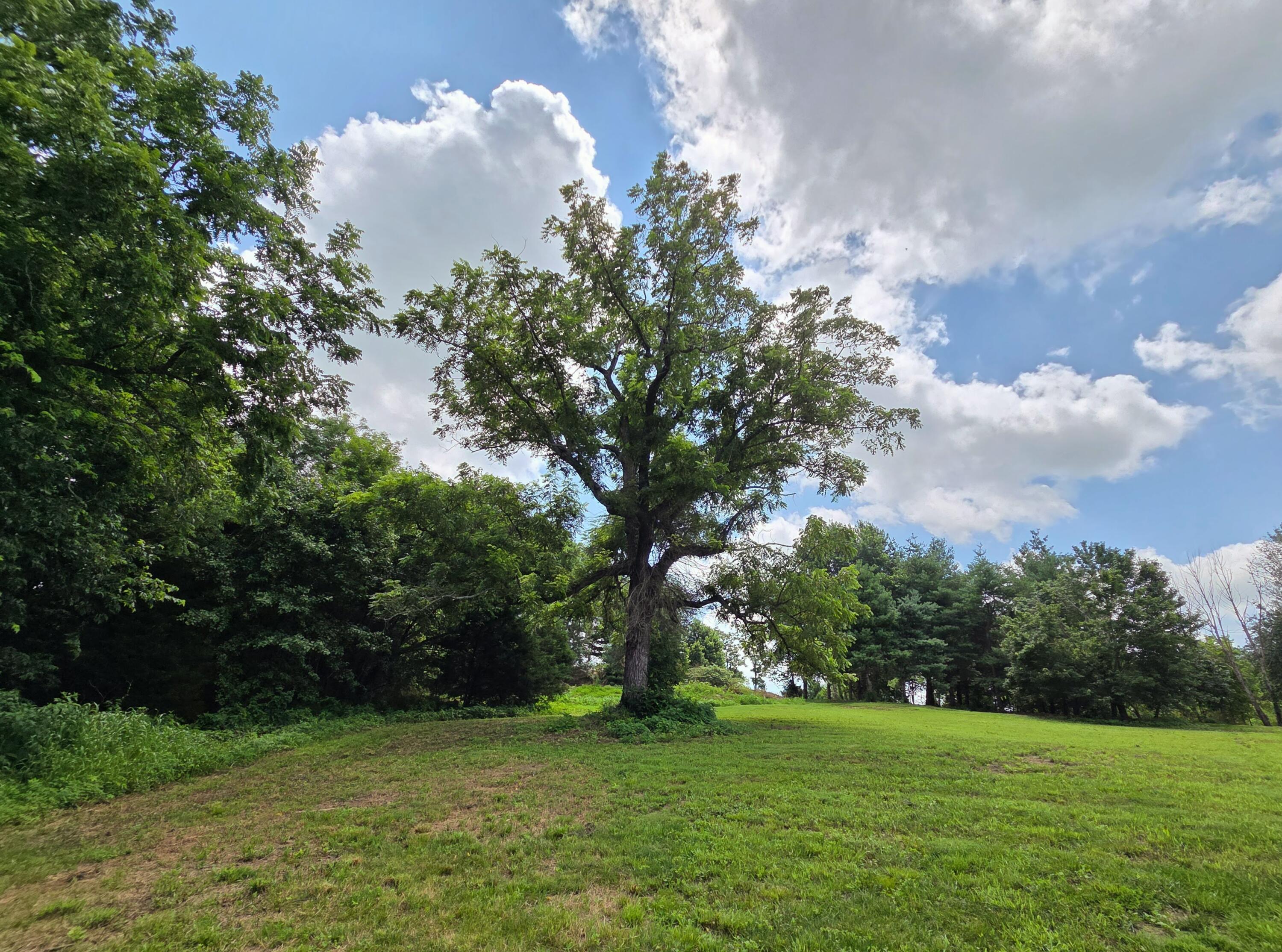 main property photo 38