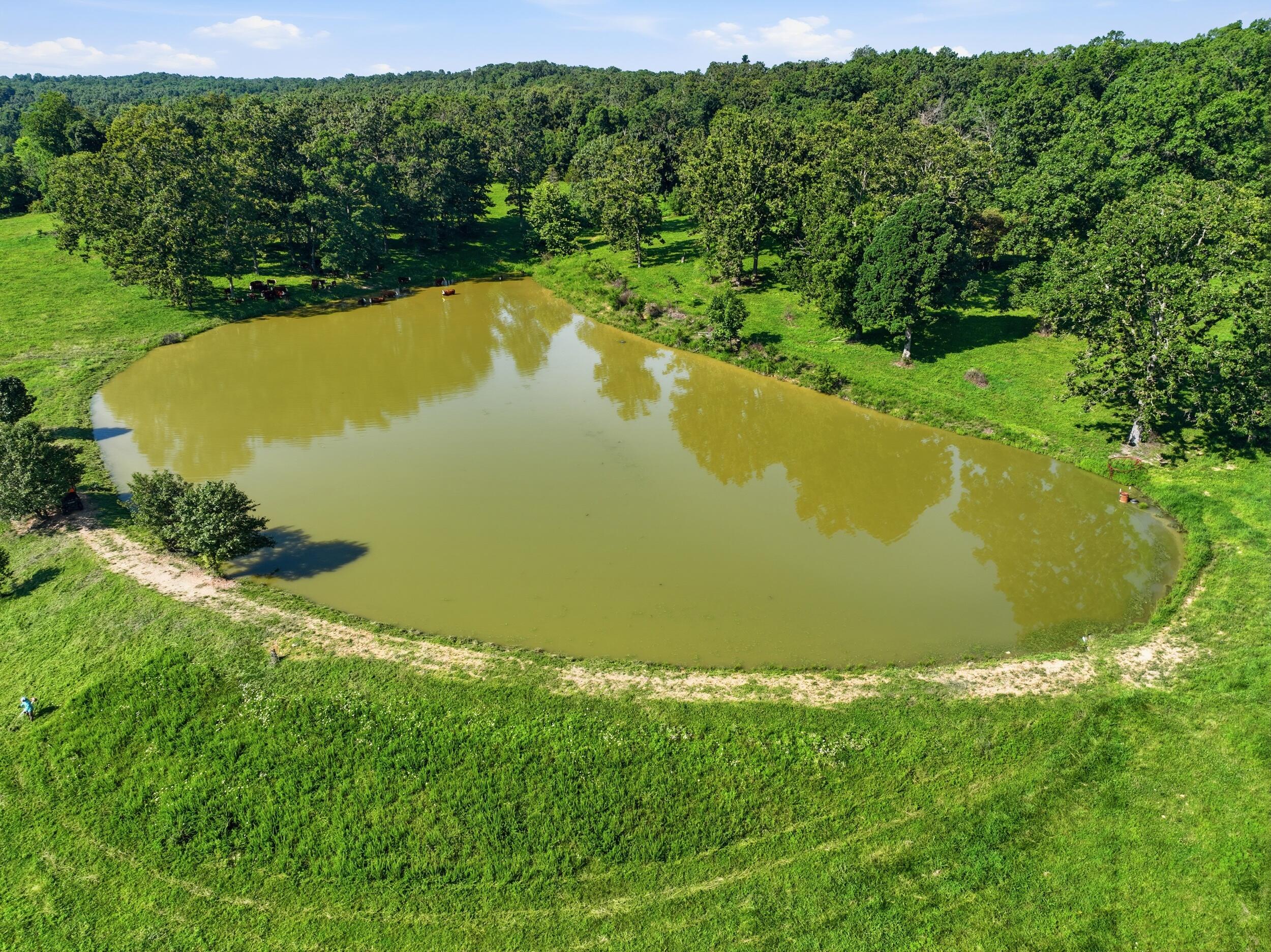 main property photo 76
