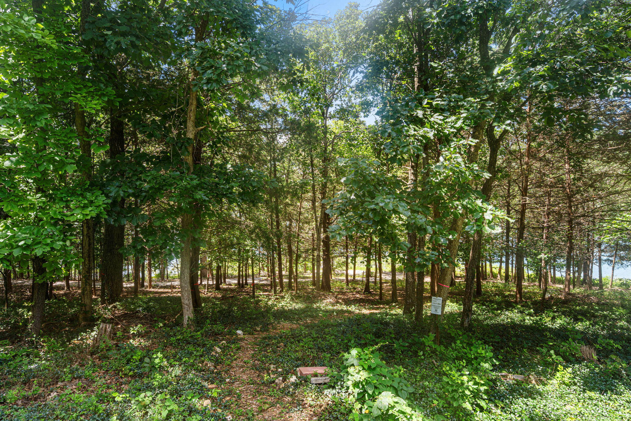 main property photo 56