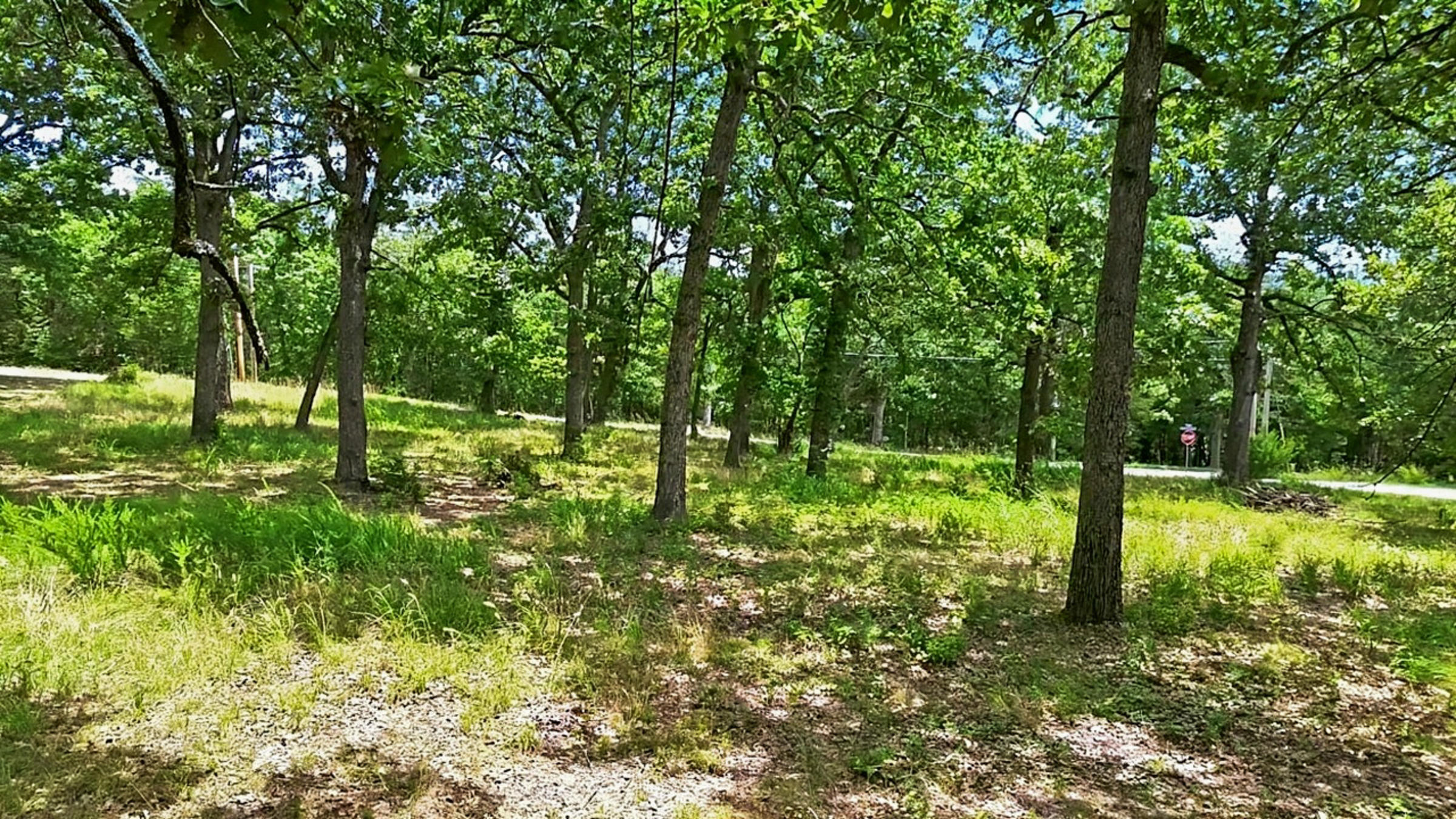 main property photo 65