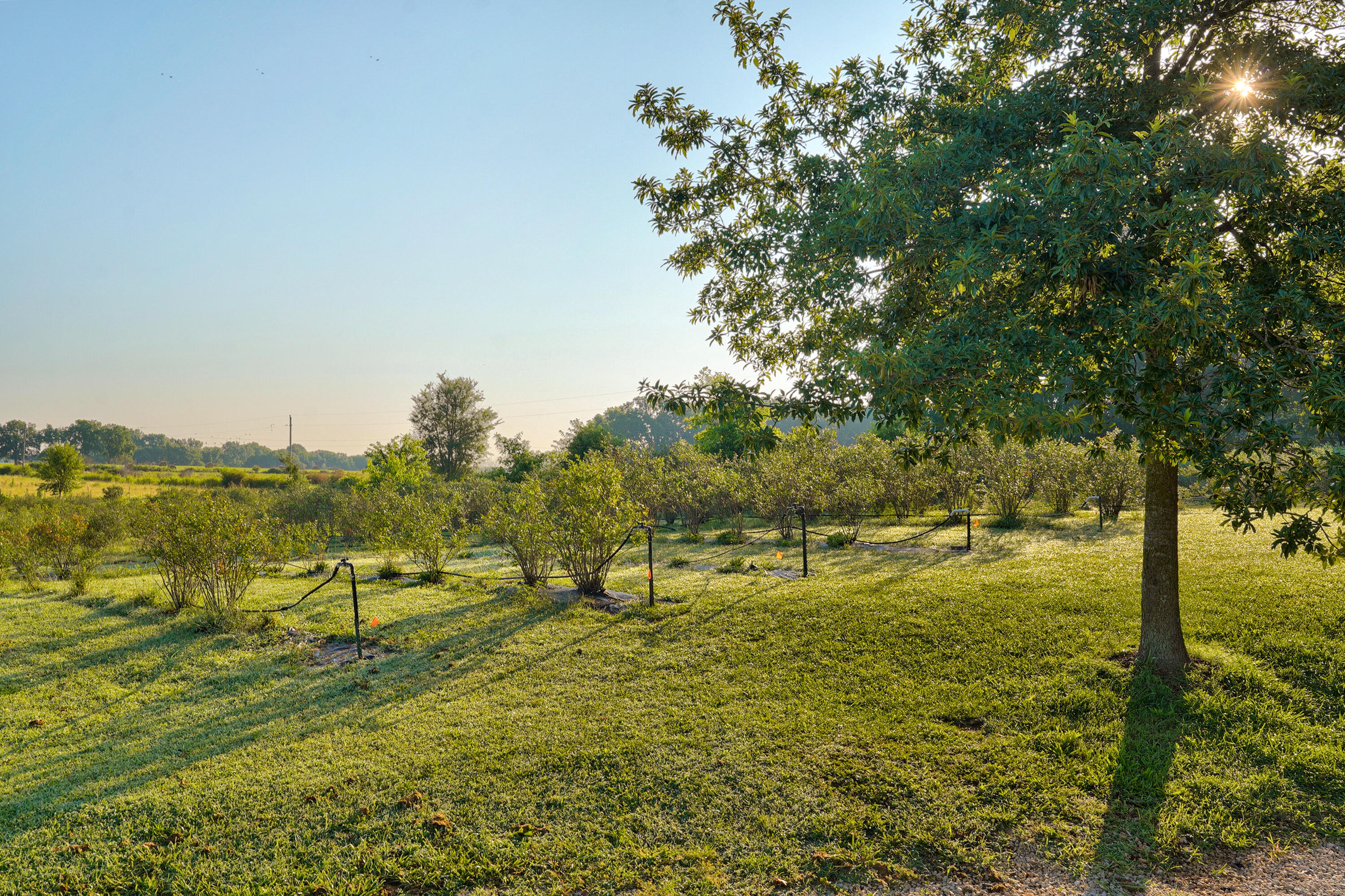 main property photo 110