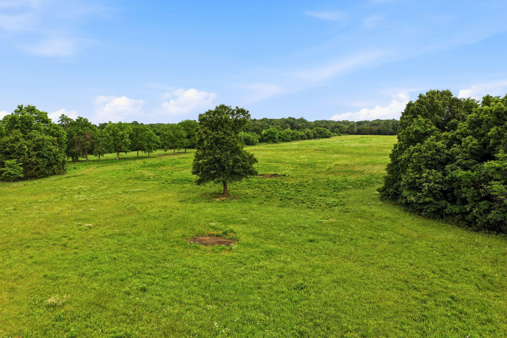 main property photo 69