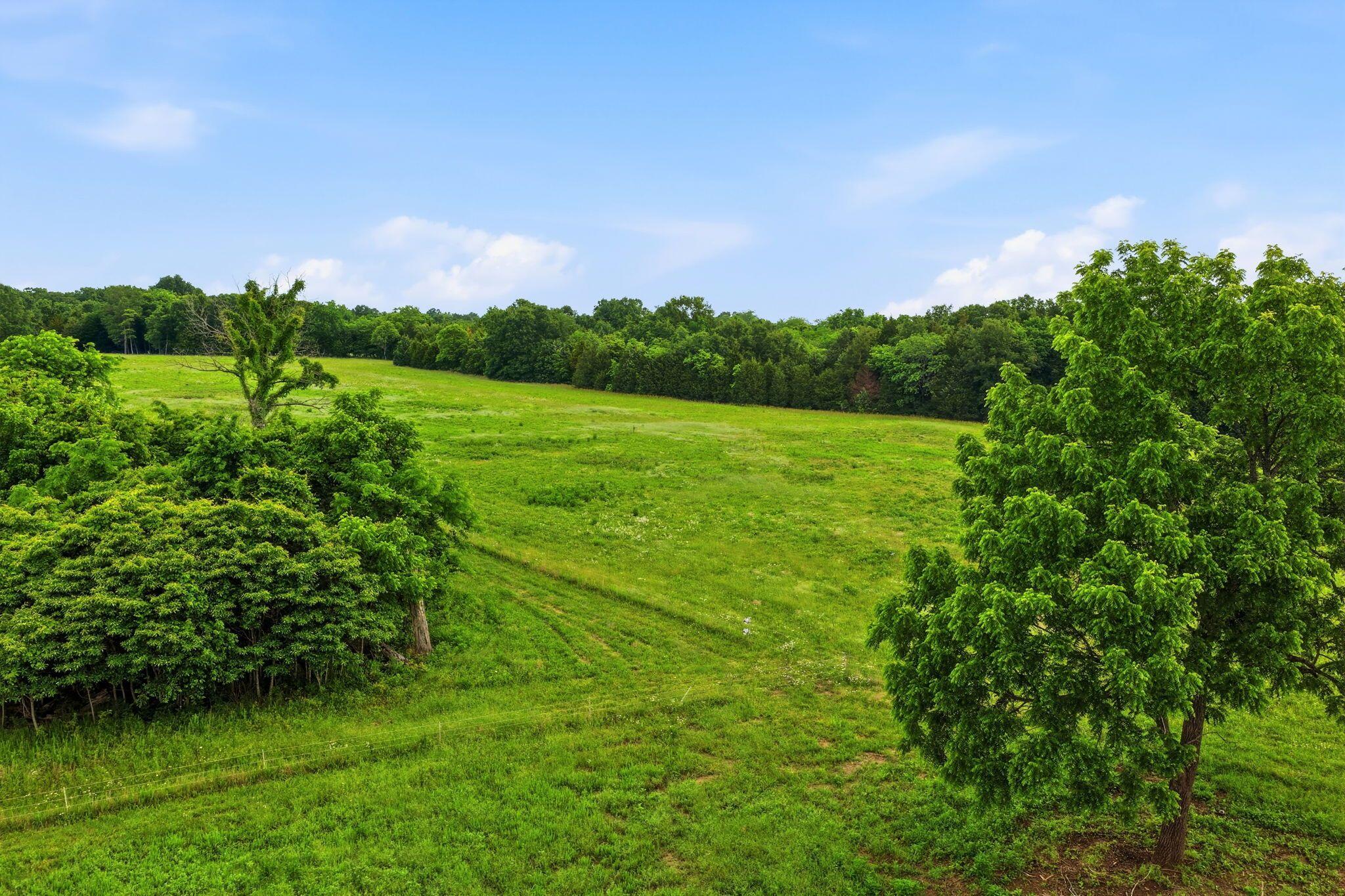main property photo 71