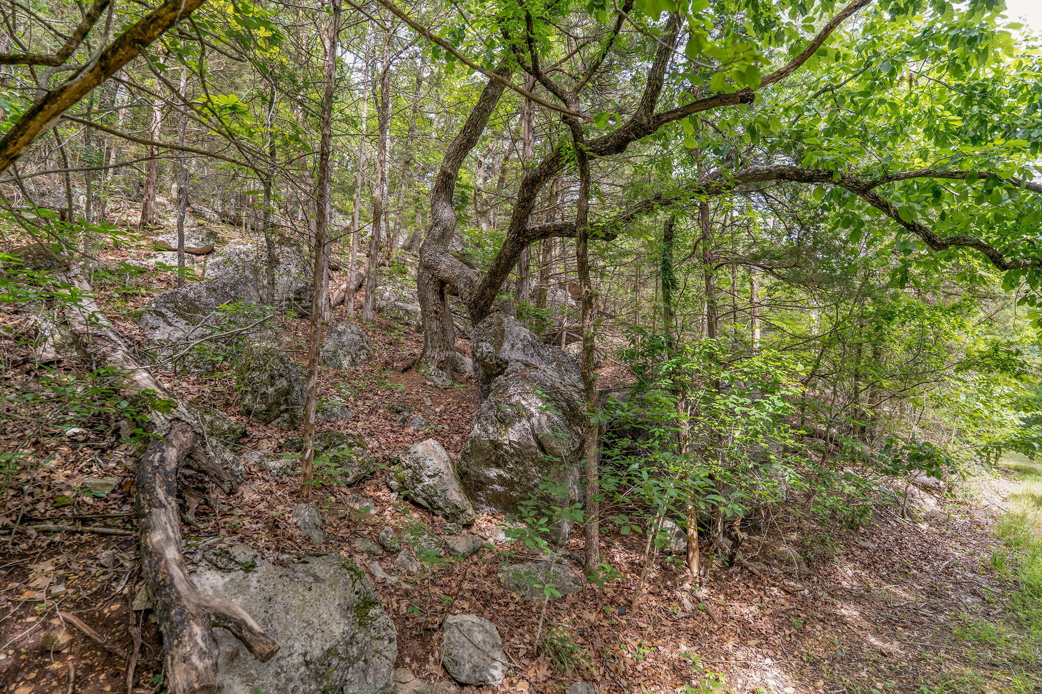 main property photo 10