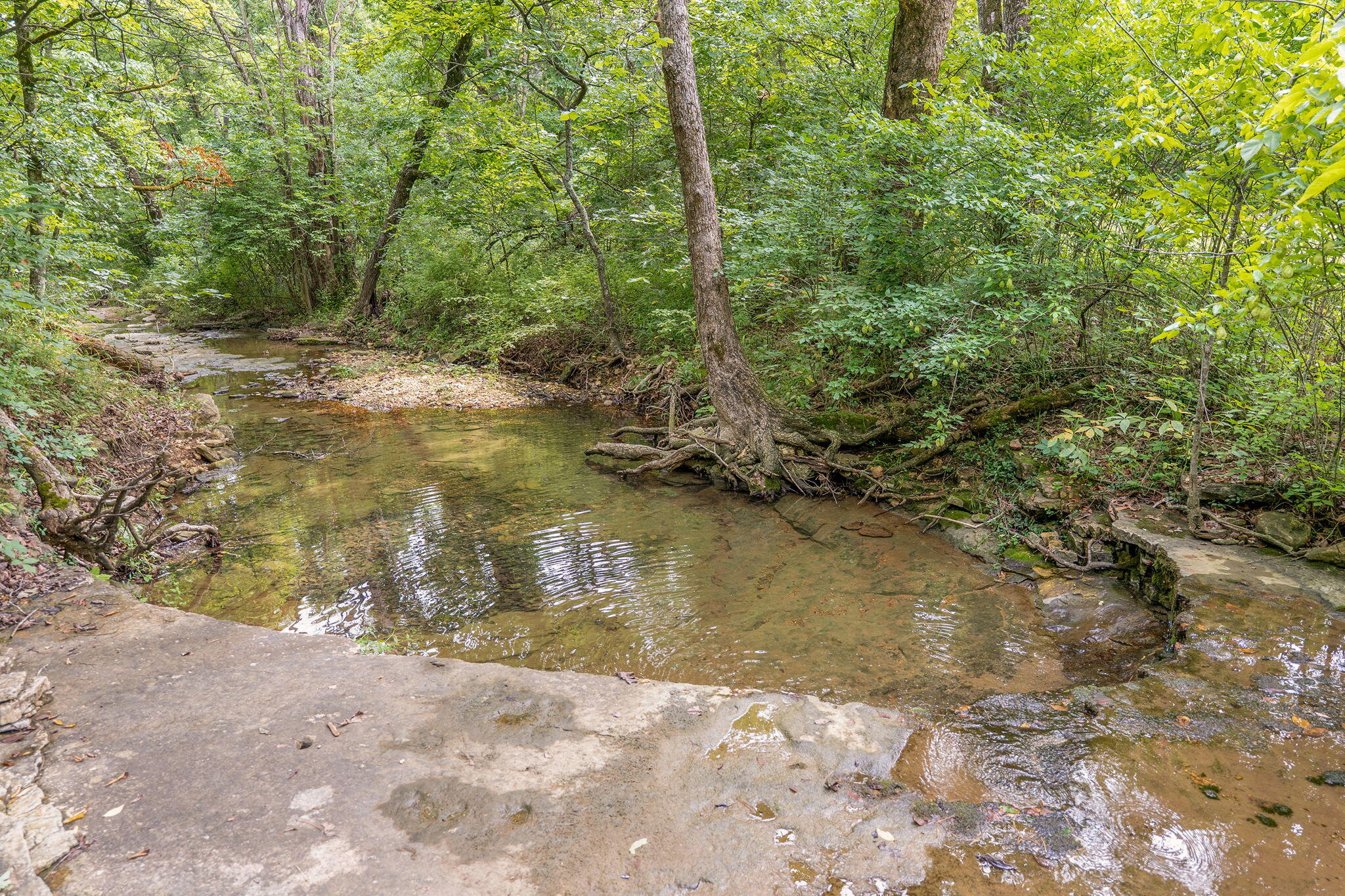 main property photo 15