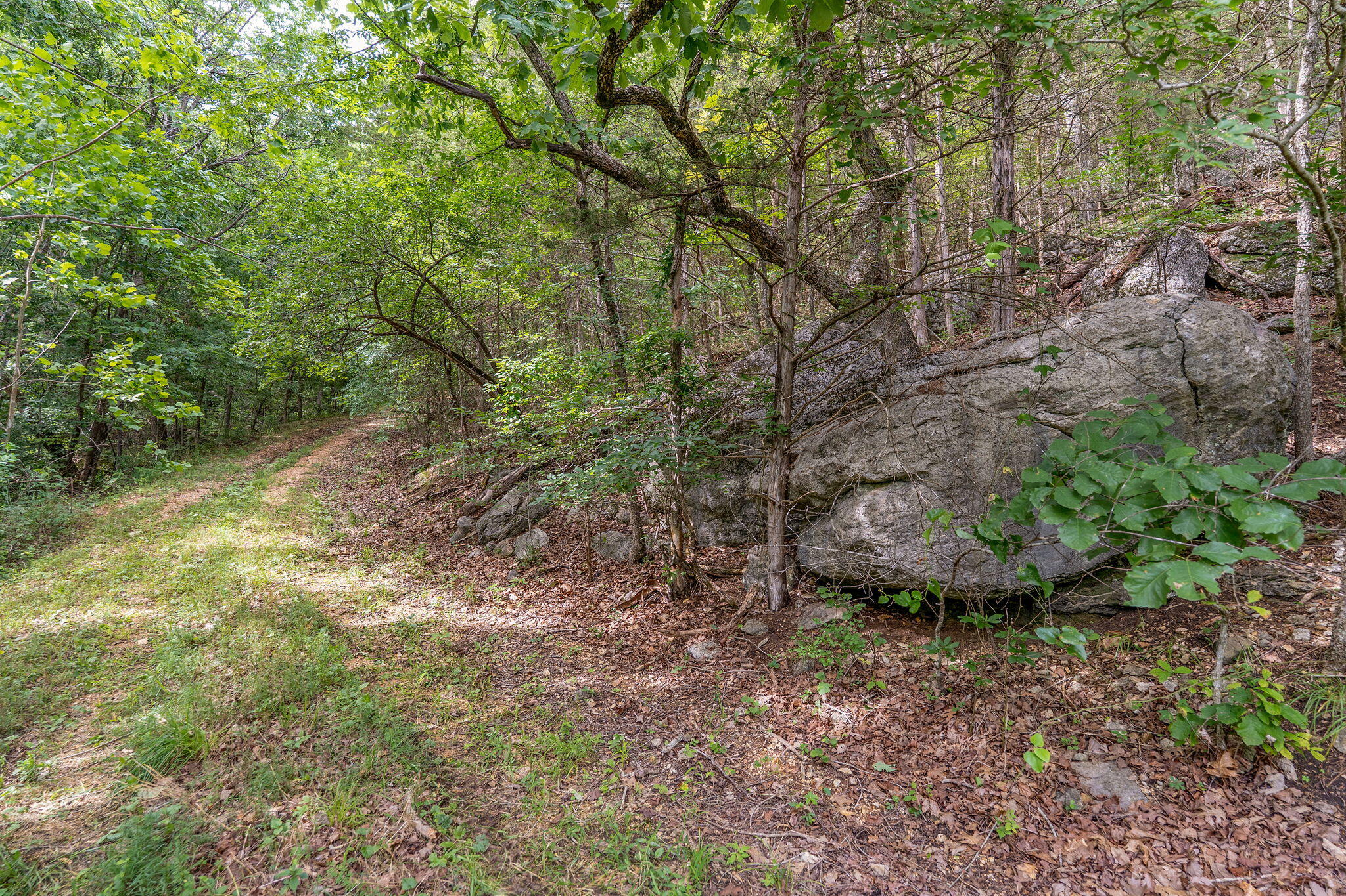 main property photo 9