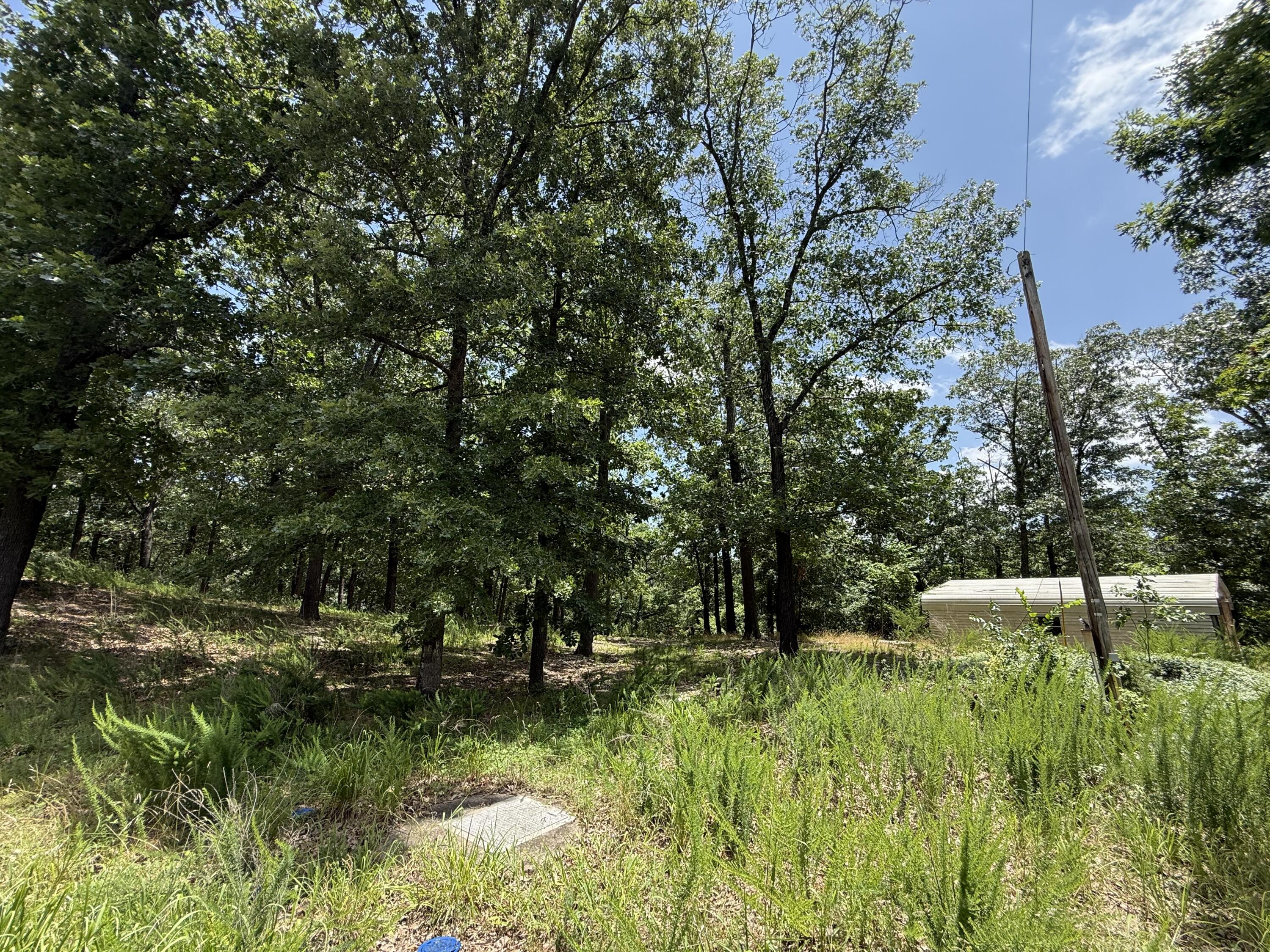 main property photo 11