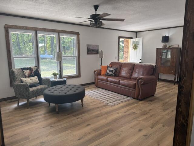main property photo 48