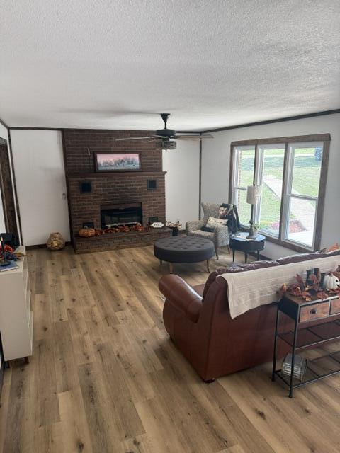 main property photo 54