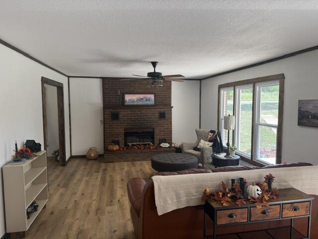 main property photo 63