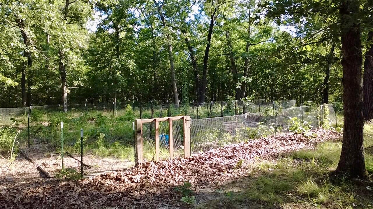 main property photo 9
