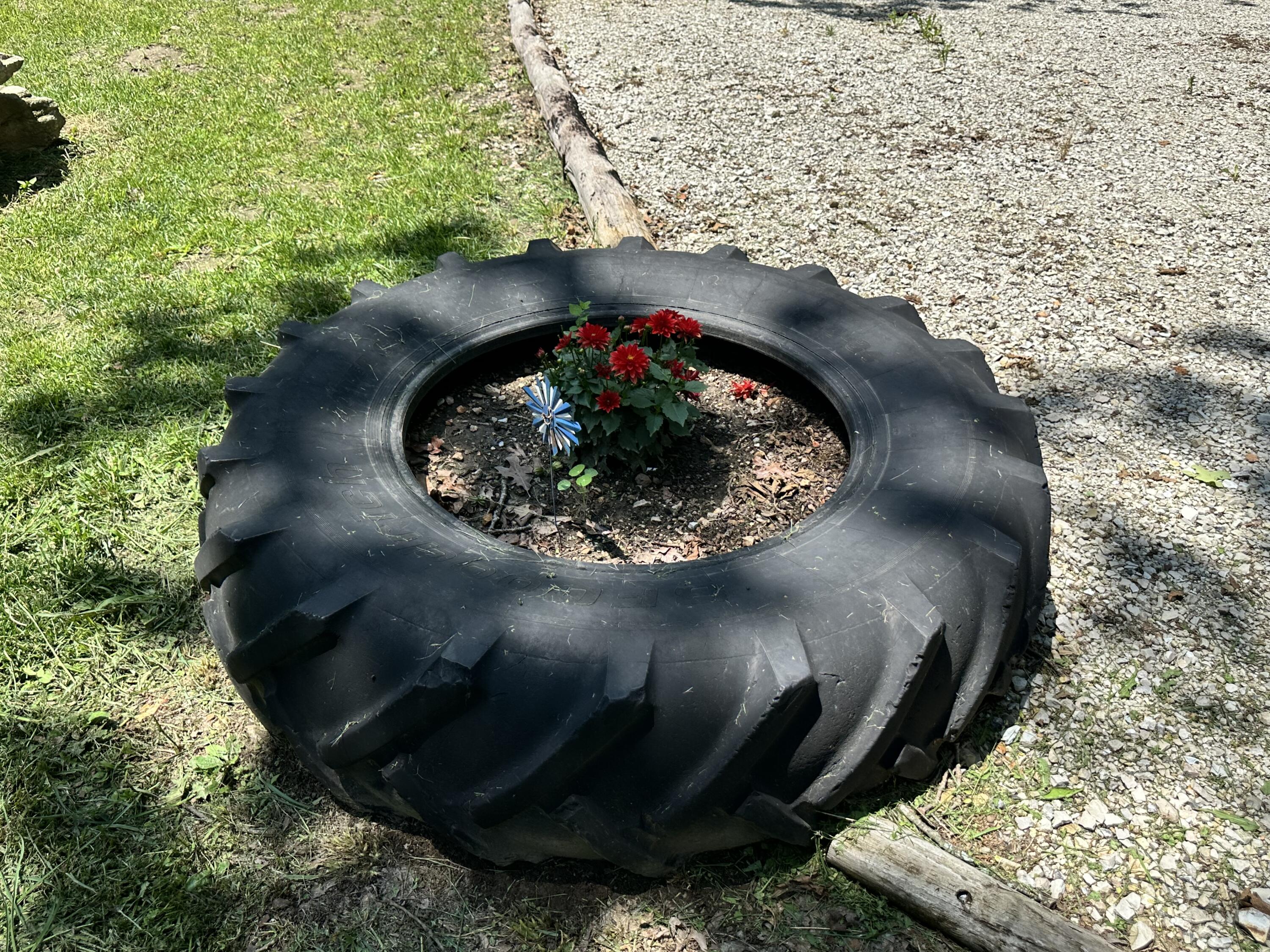 main property photo 46