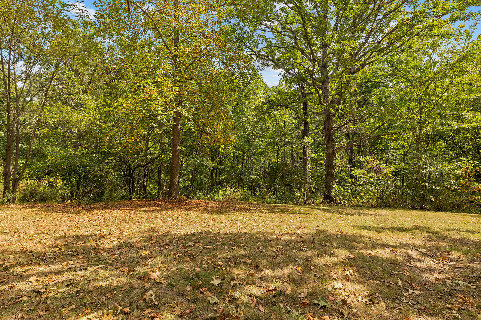 main property photo 55