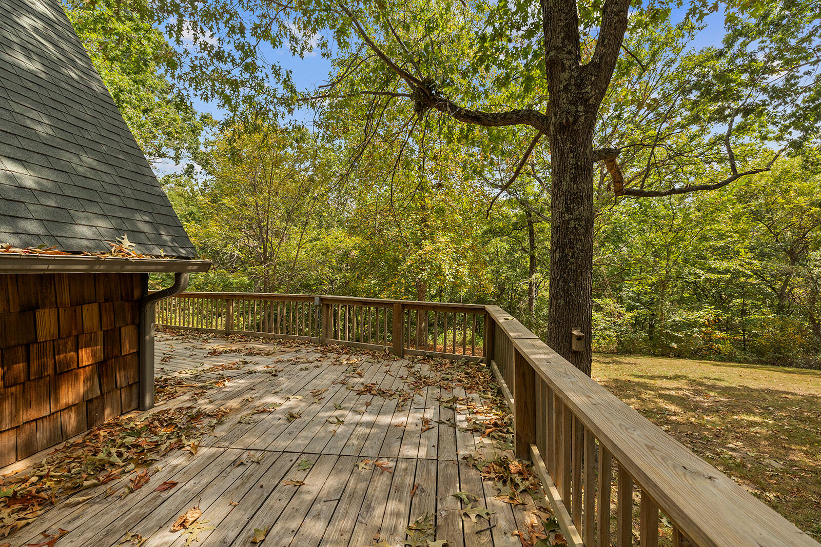 main property photo 61