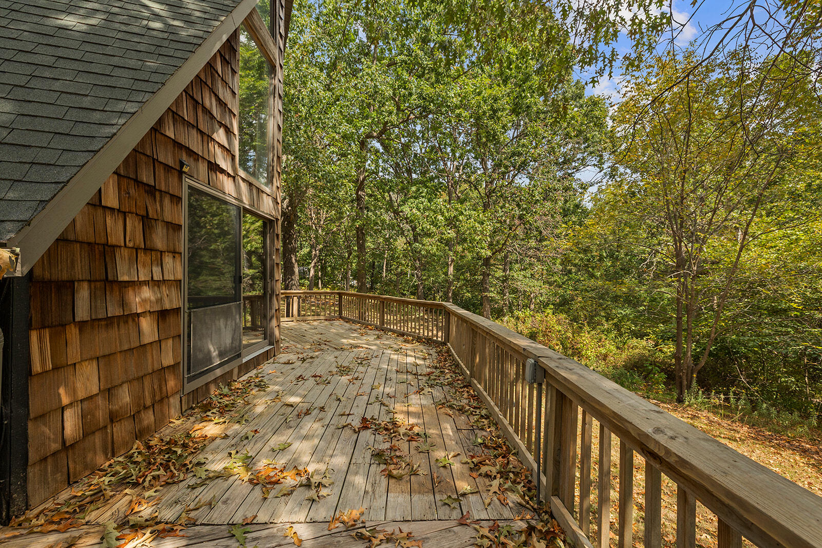 main property photo 62