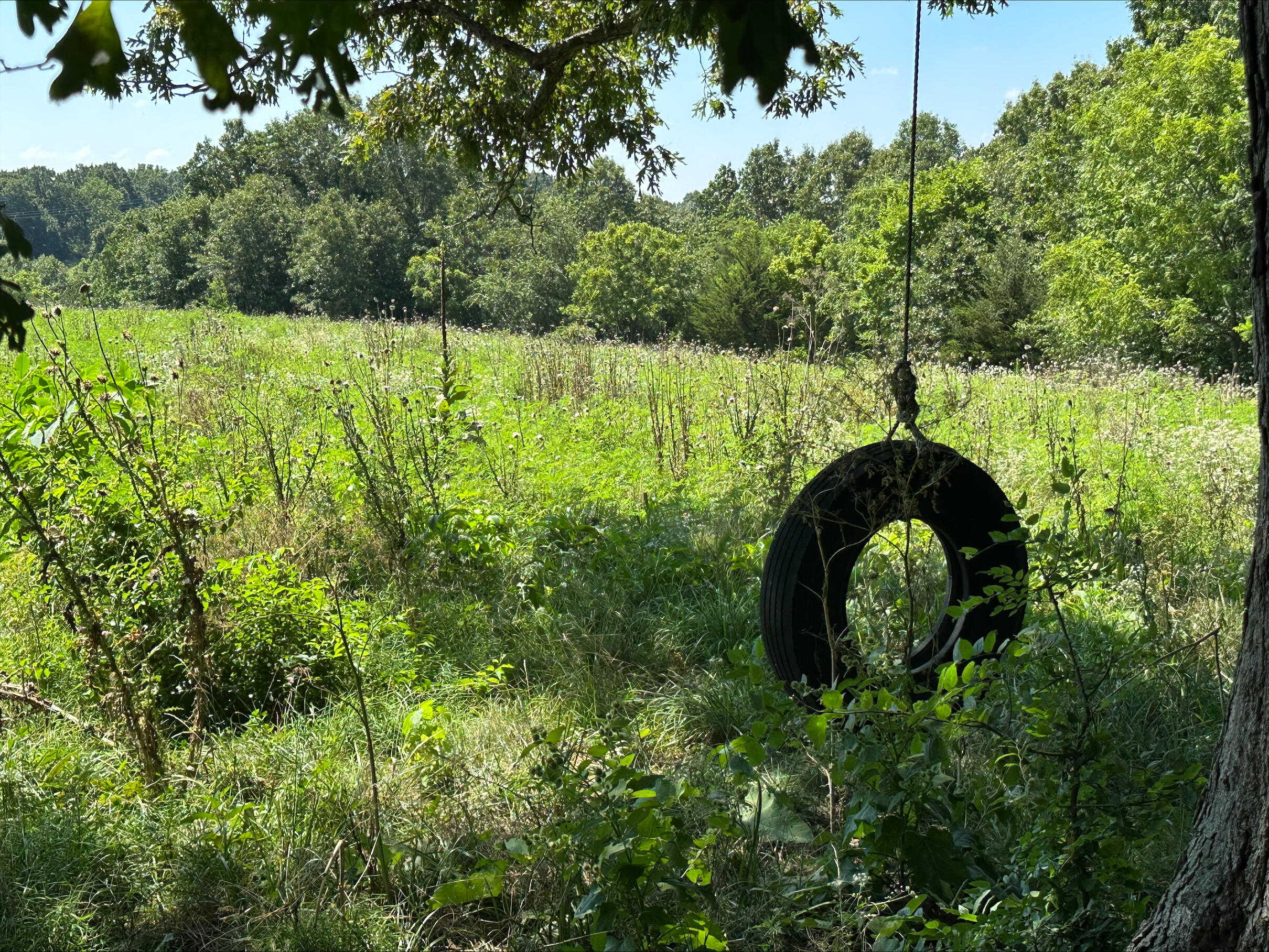 main property photo 32