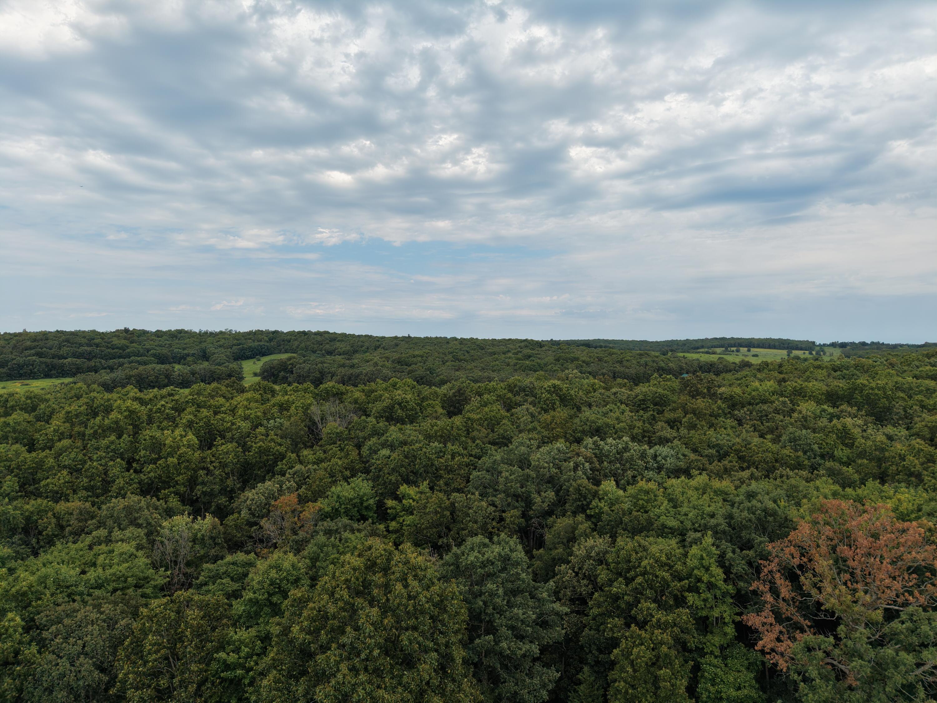 main property photo 61