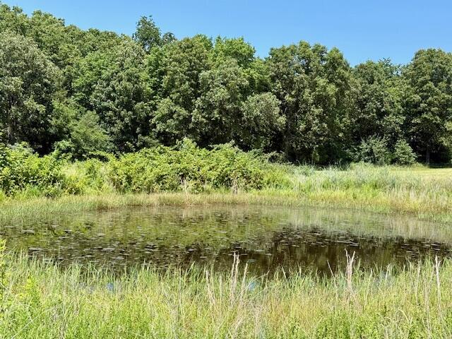 main property photo 67