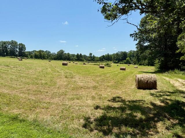 main property photo 68