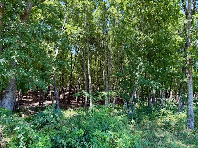 main property photo 70