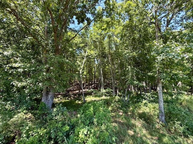main property photo 71