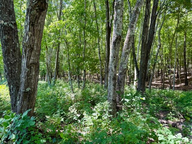main property photo 74