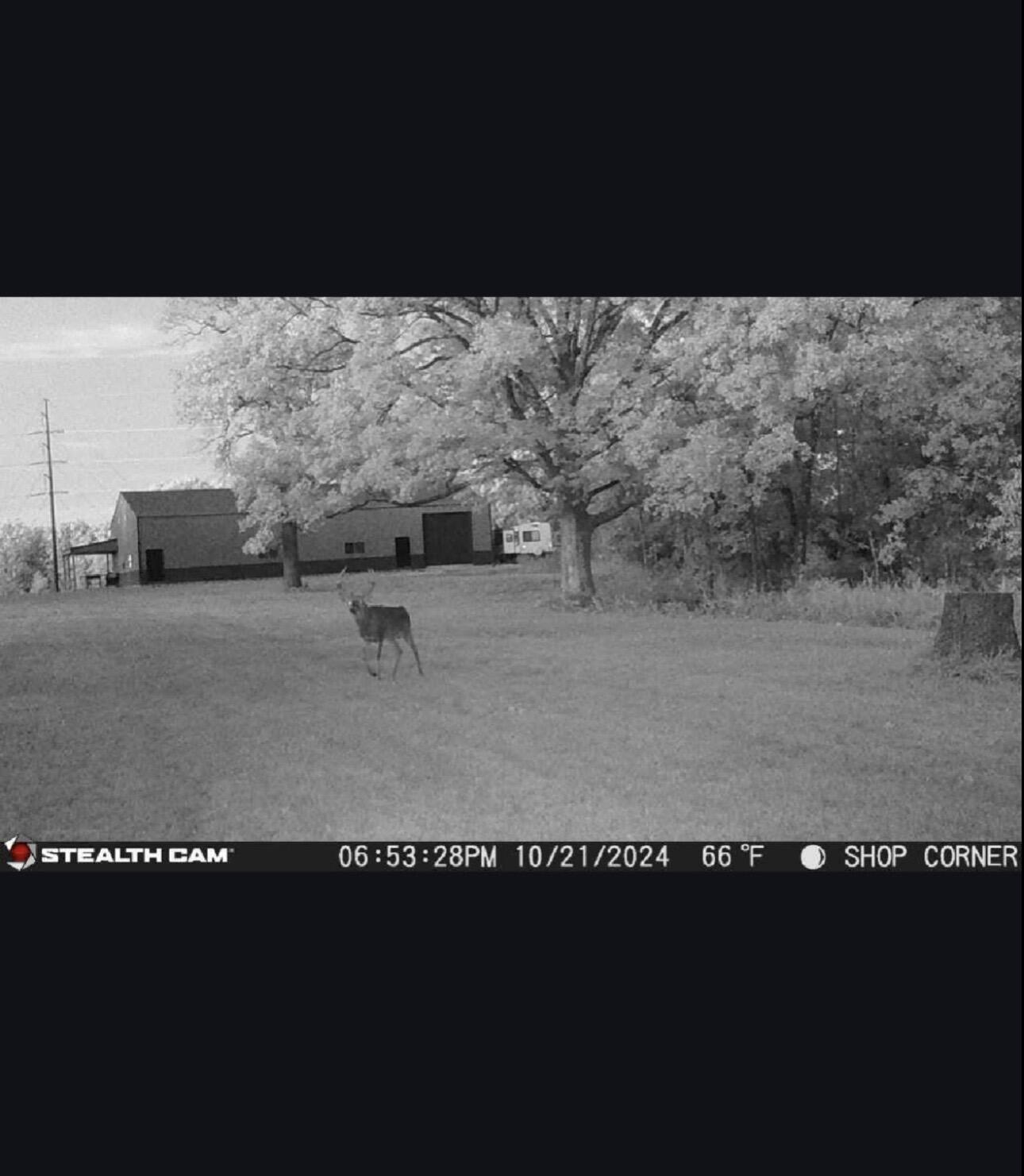 main property photo 16