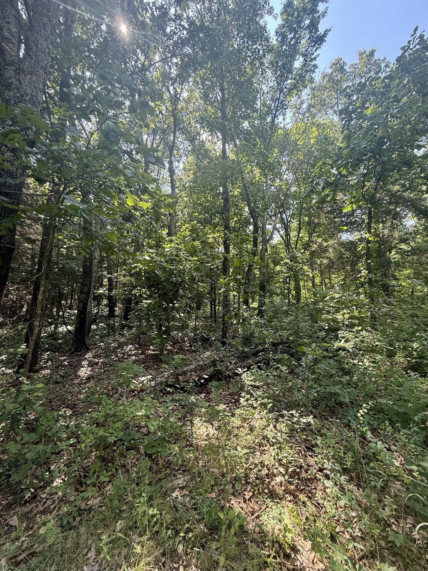 main property photo 25