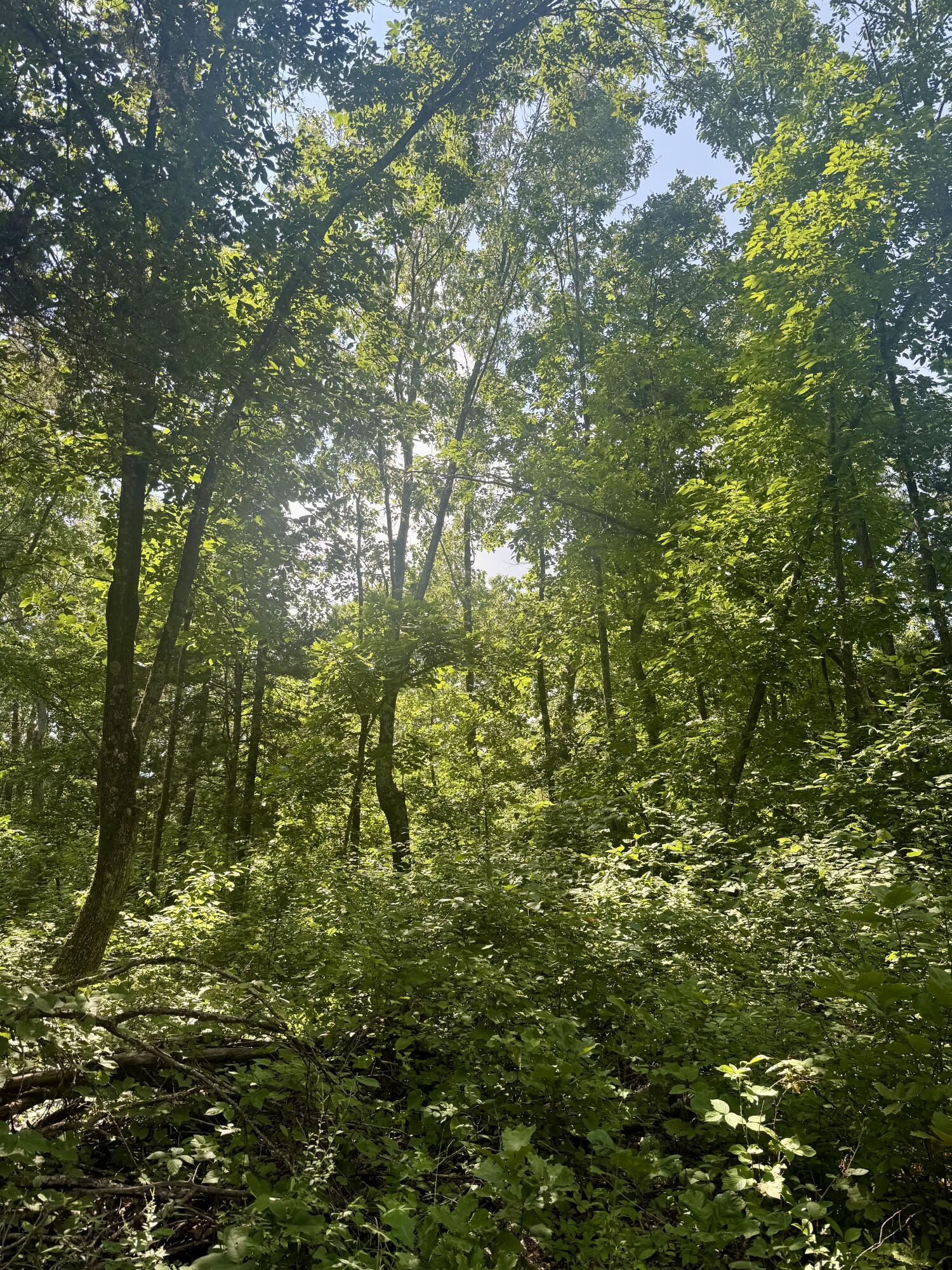 main property photo 30