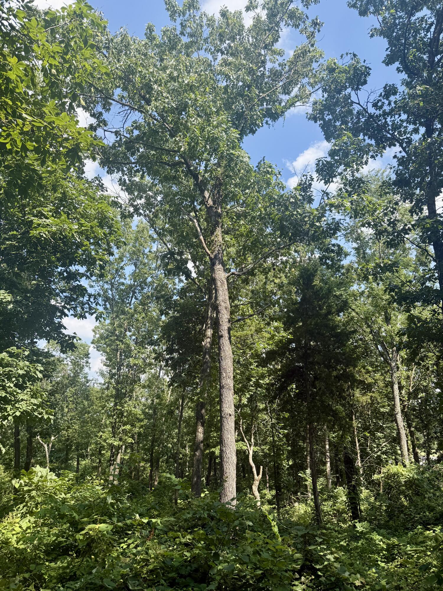 main property photo 31