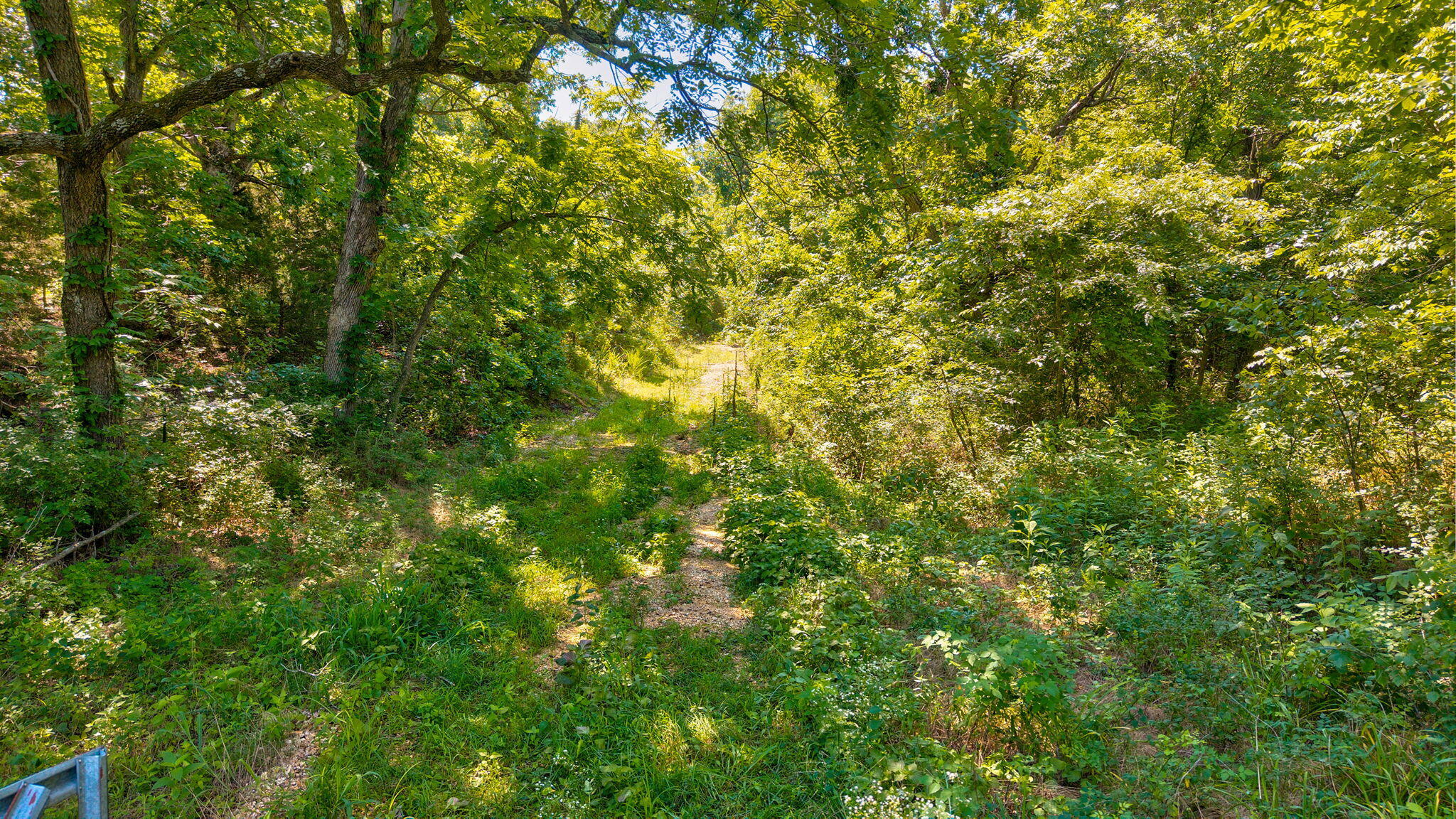 main property photo 13