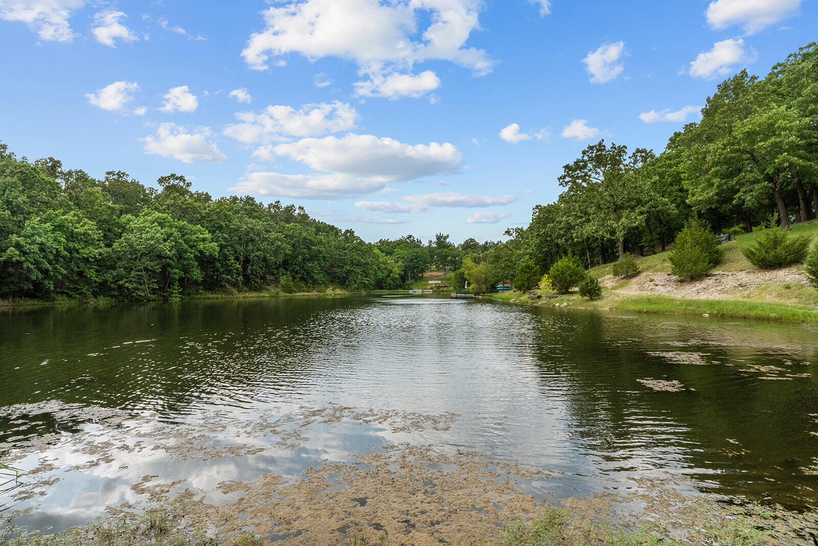main property photo 71