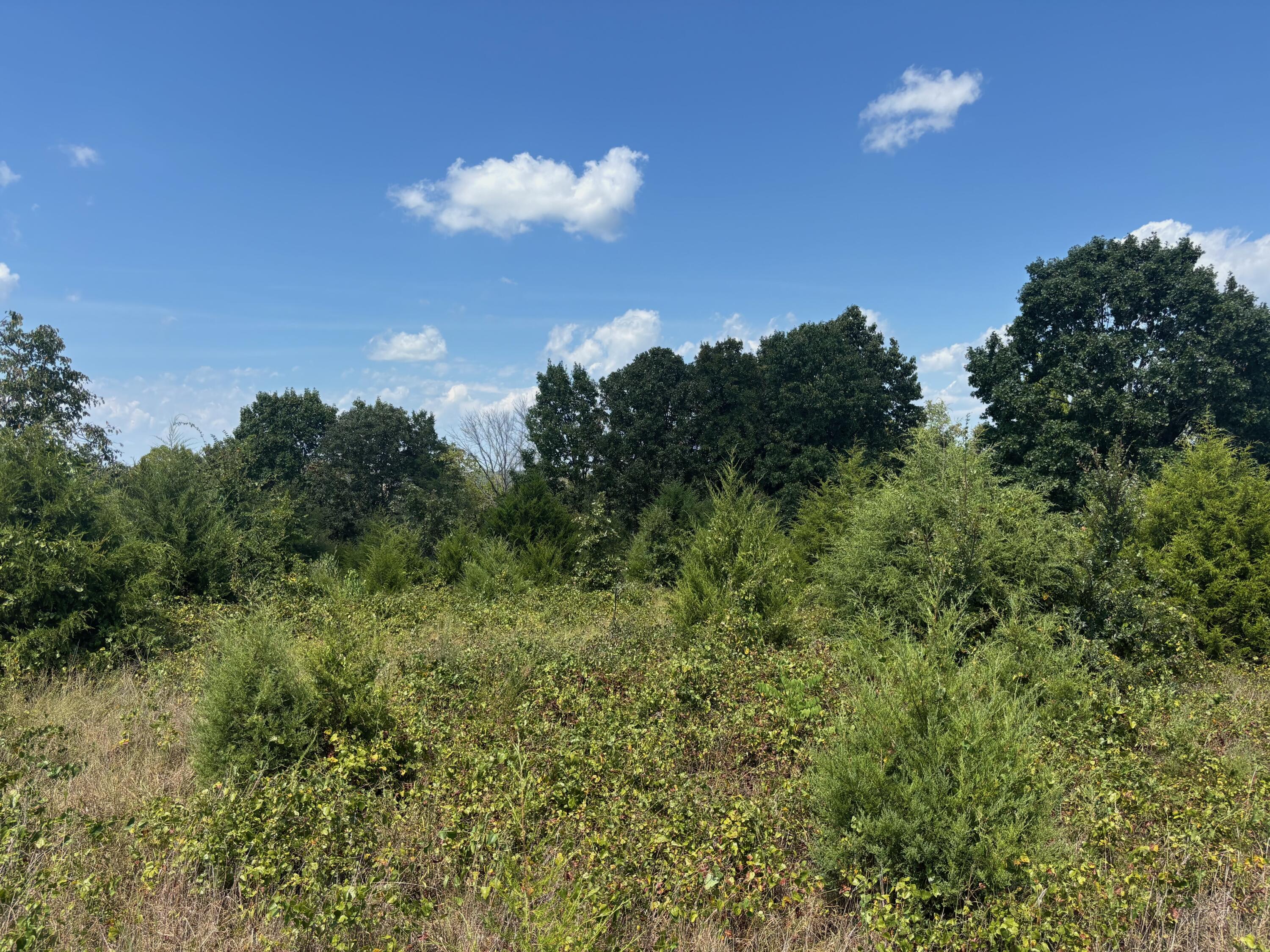 main property photo 16