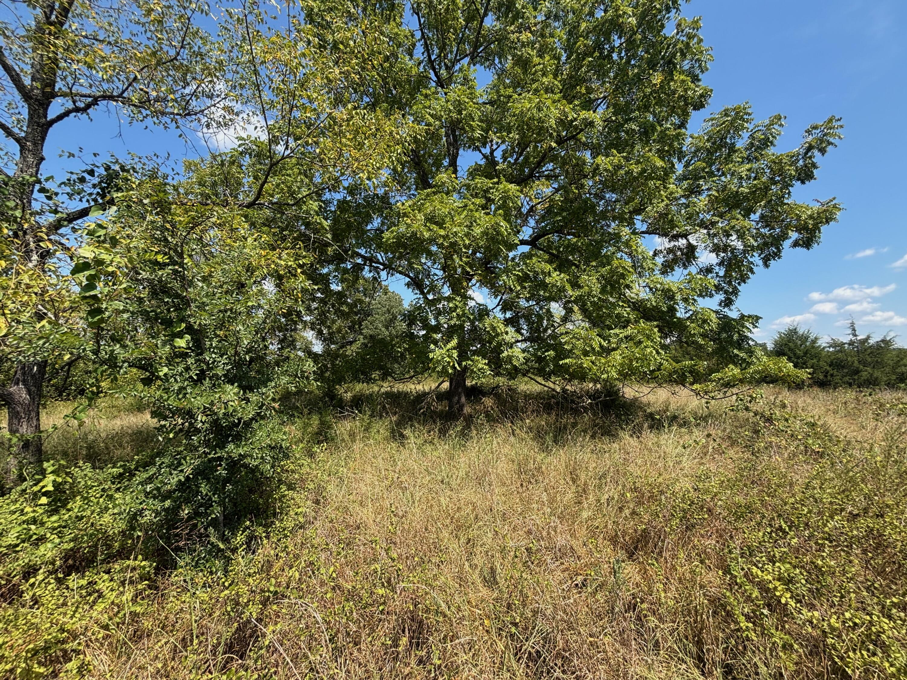 main property photo 19