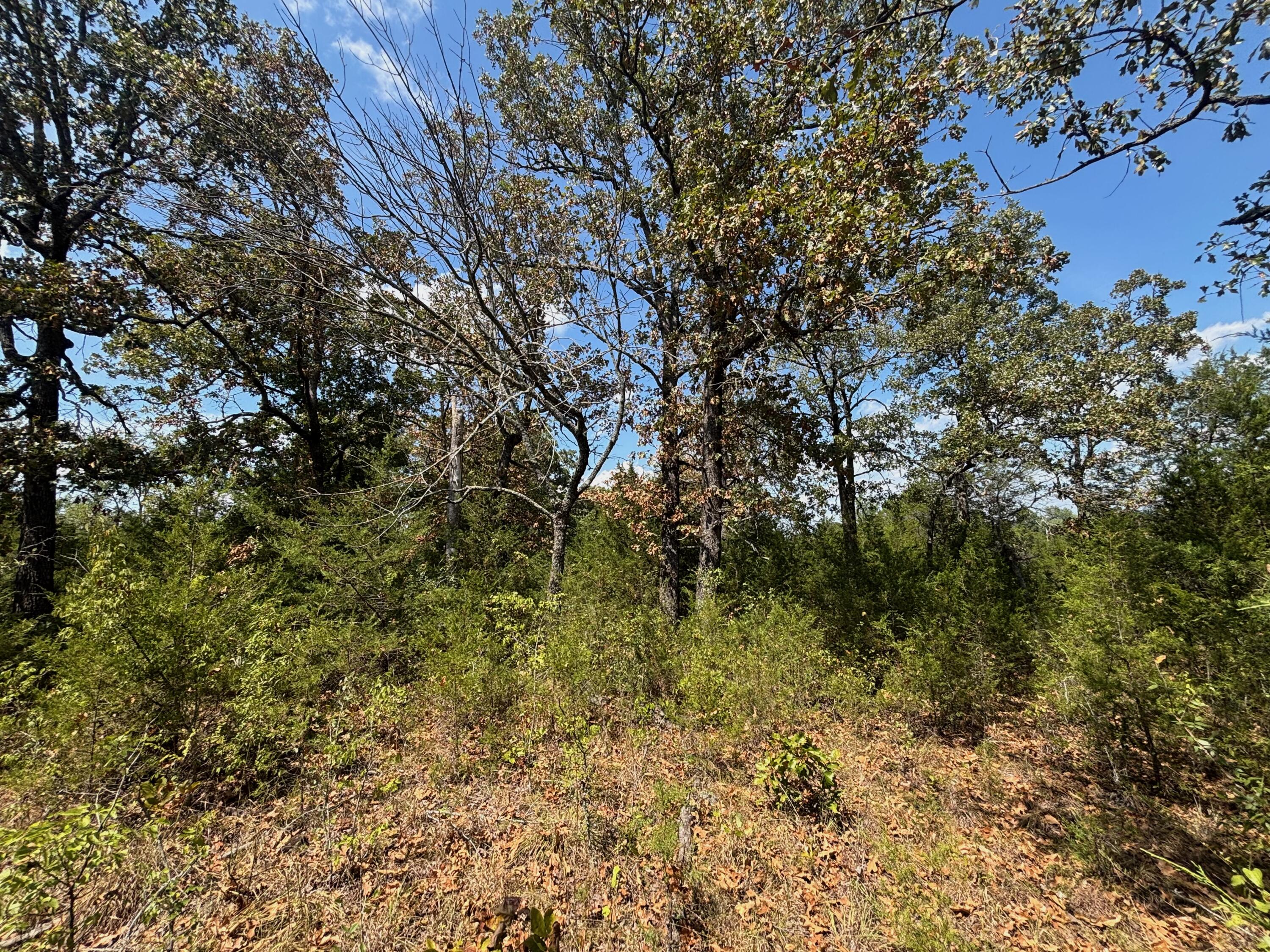 main property photo 18