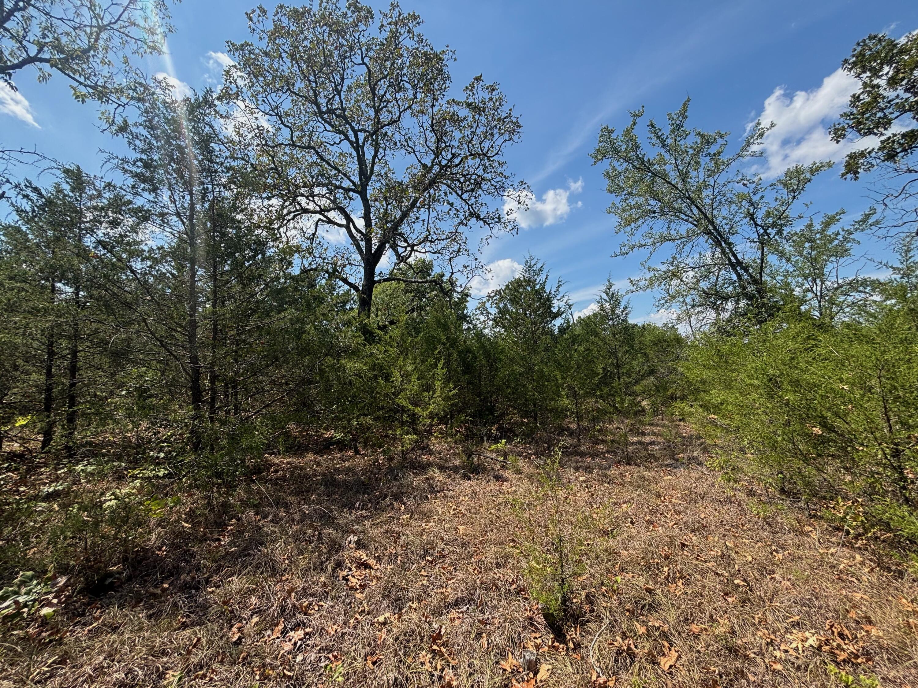 main property photo 19