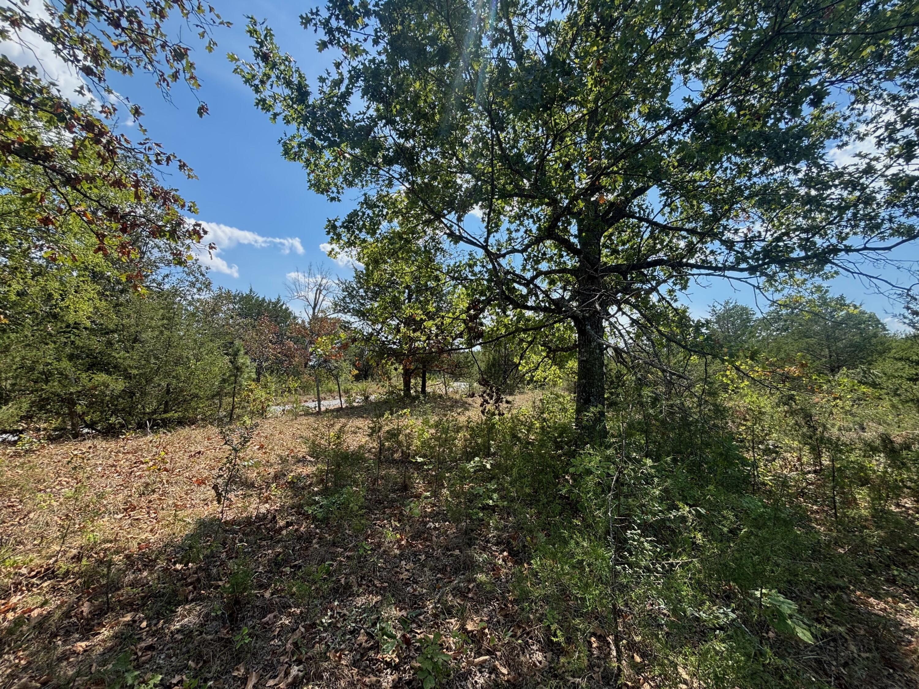 main property photo 20