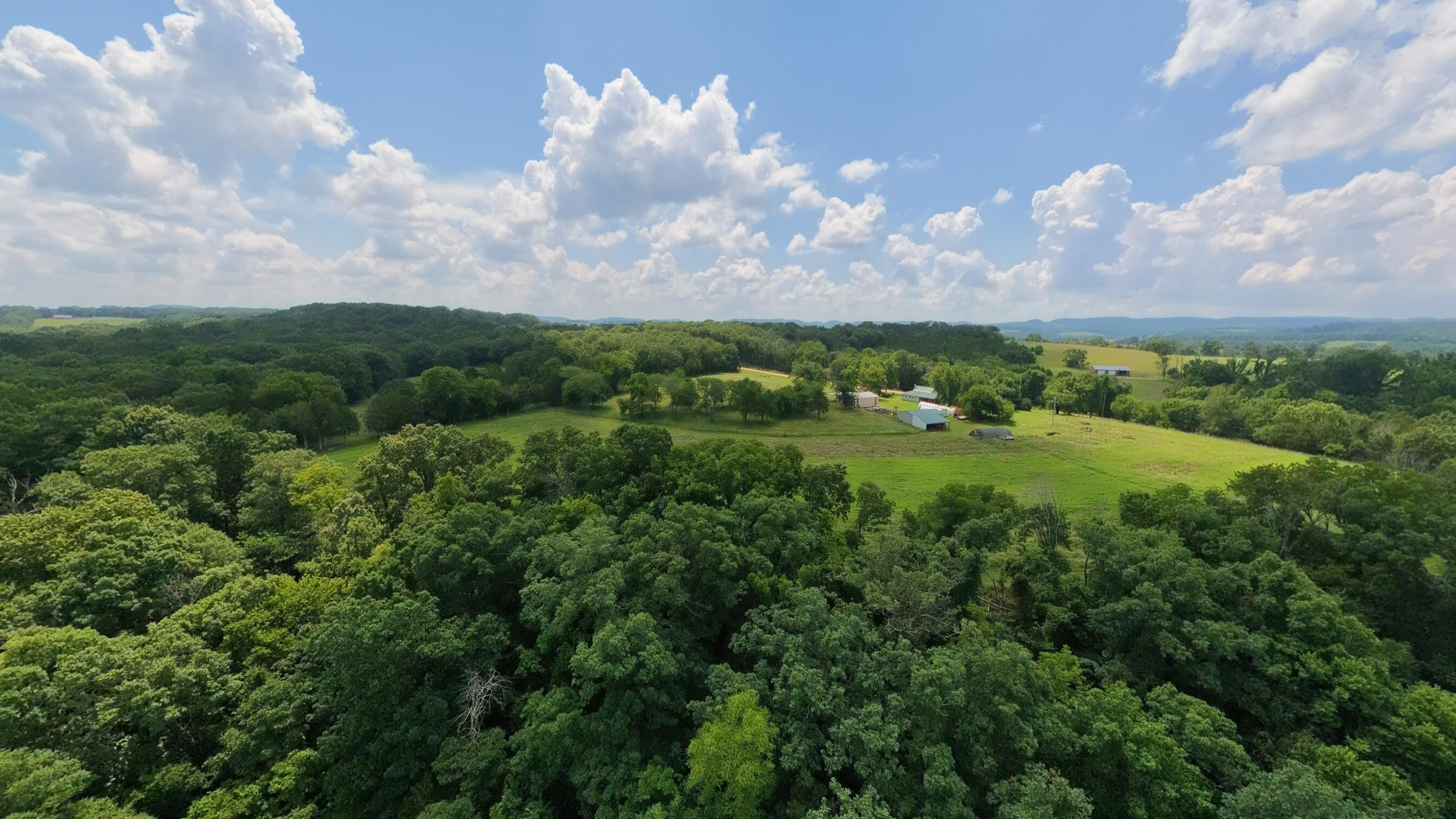 main property photo 100