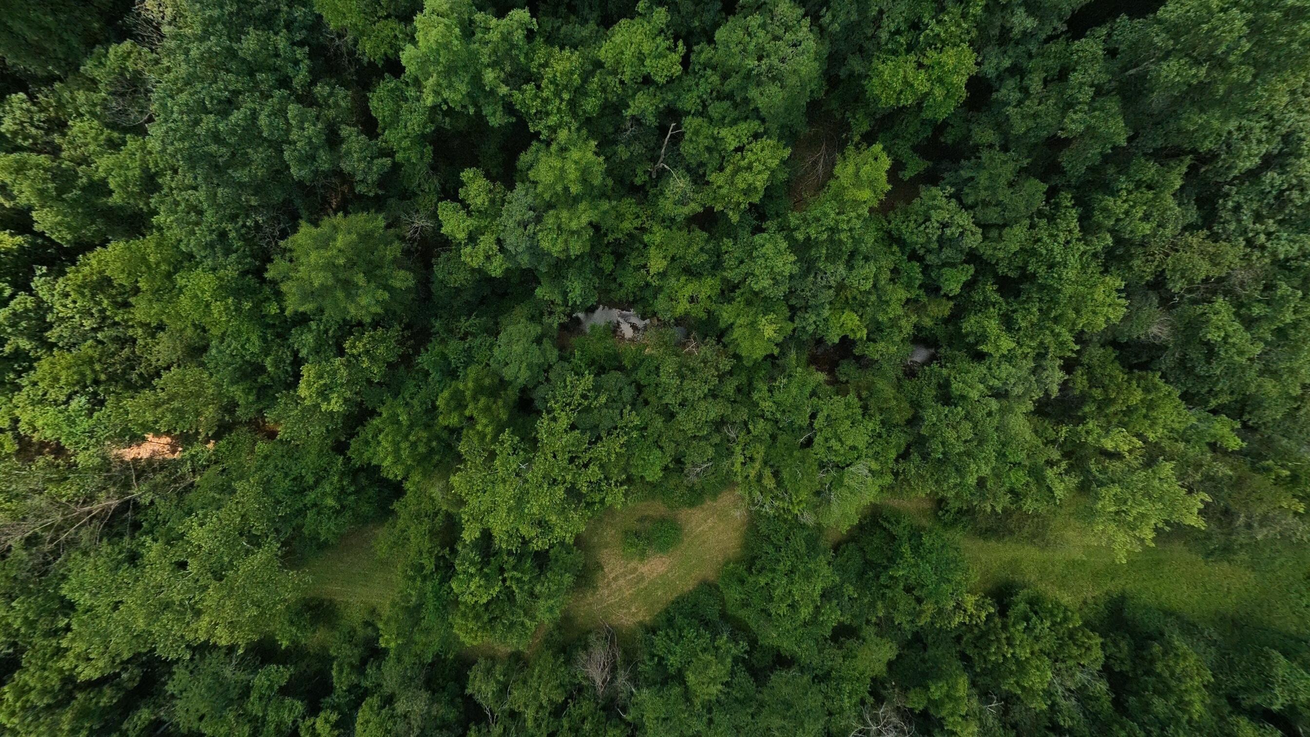 main property photo 101